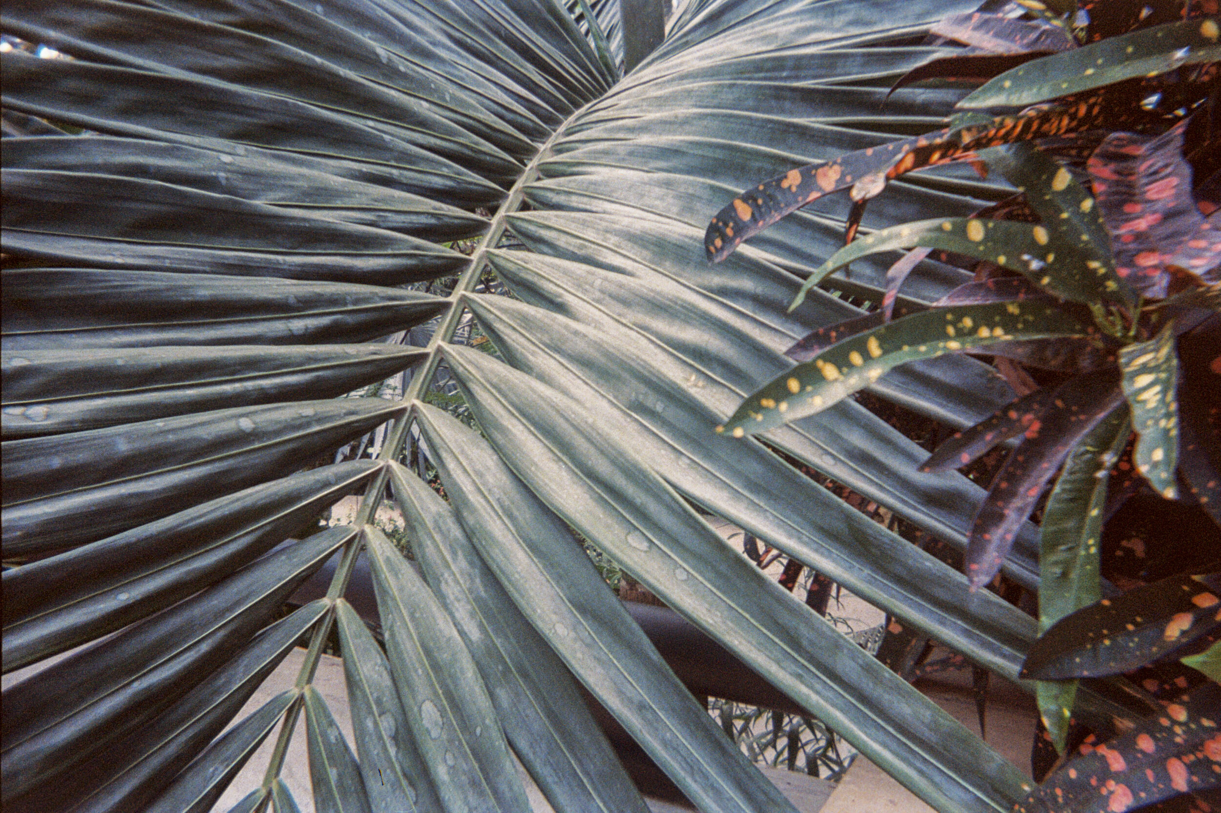 Laurtizen Gardens | Nebraska 2017 (Film)