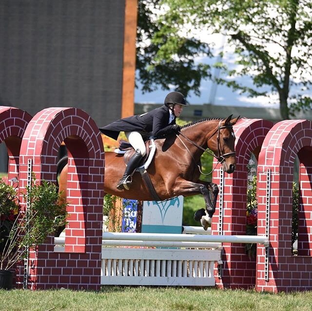 CMS would like to extend a huge Congratulations to the Phillips family and One Above Farm on the purchase of the amazing mare, Caliana! We are so happy that you found each other! 💕 Special thanks to Jessica Grutkowski and Liz Kleinfeld for all your 