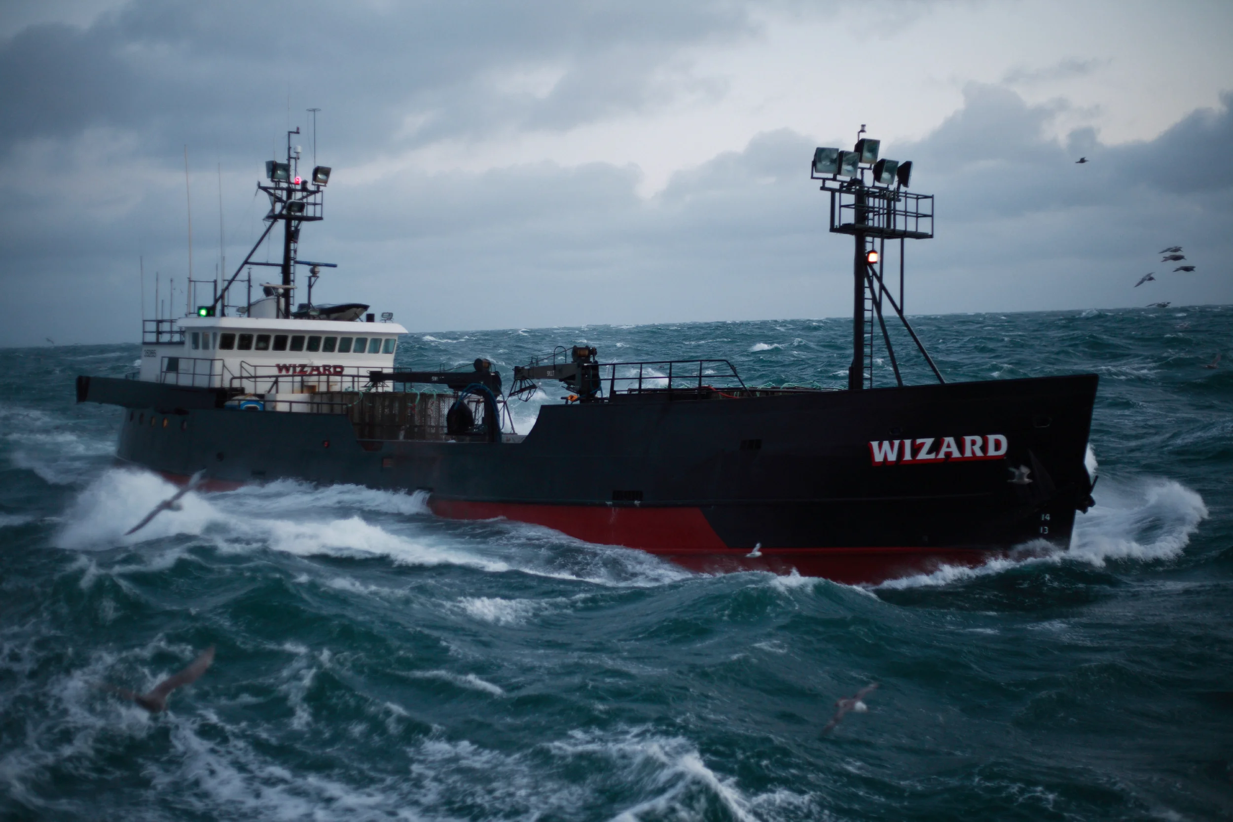 Maritime Law