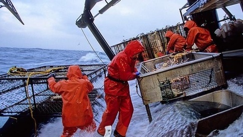 Fisherman Electrocution and Fall