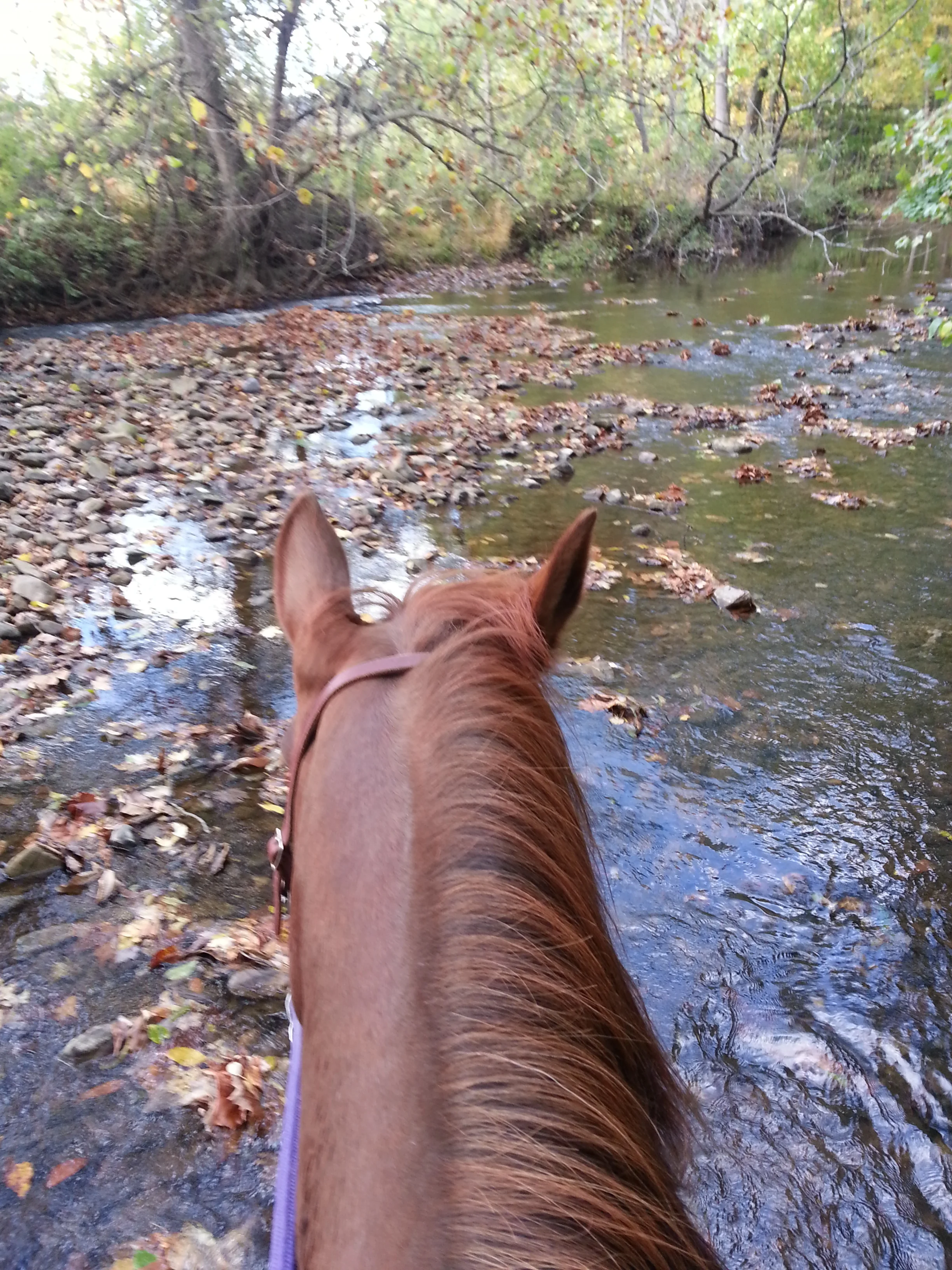 20141008_161314.jpg