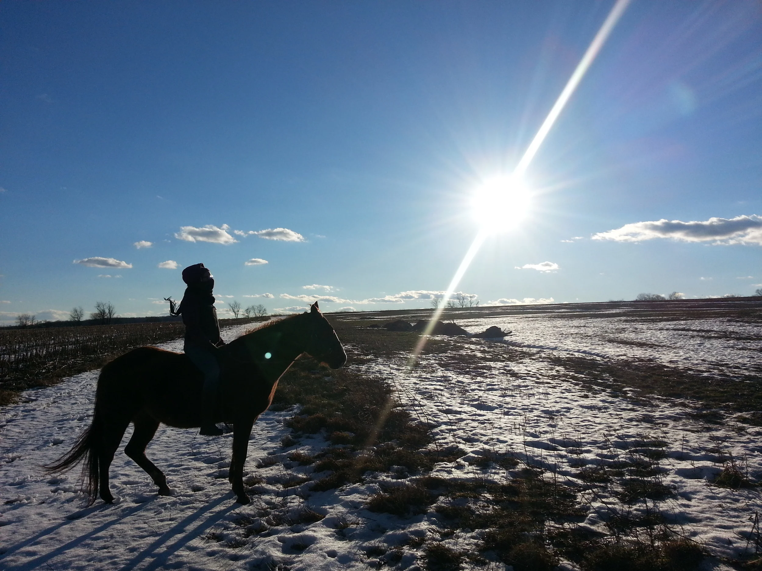 20160205_160944.jpg