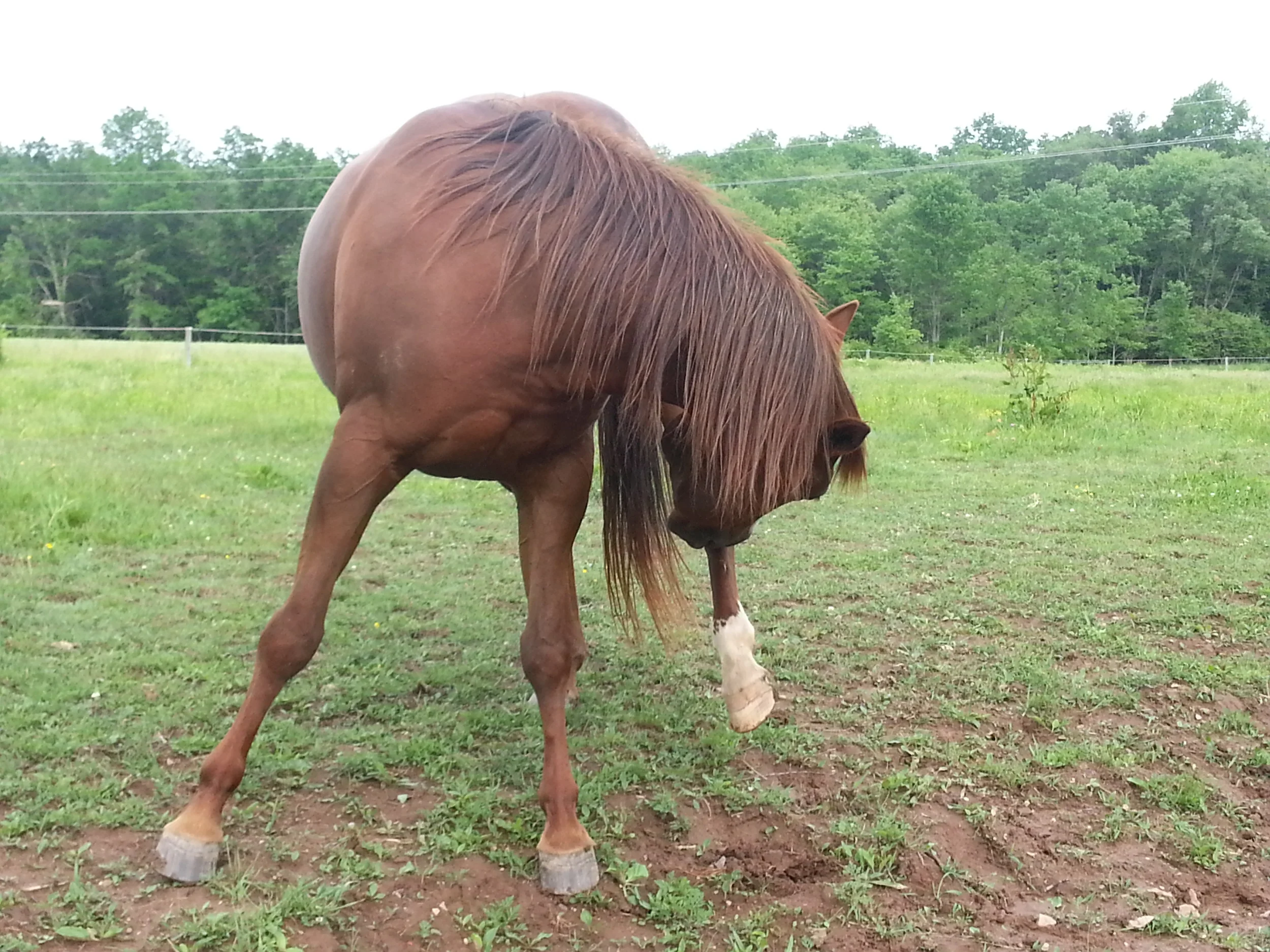 20150603_173002.jpg