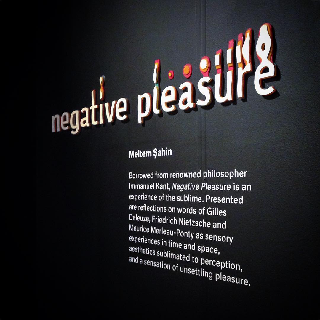  "Negative Pleasure" is a term that is created by Immanuel Kant. He describe this outrage as: "A turmoil of emotion or vibration between pains rising from inadequacy of all sensible standards and pleasure emanating from correspondence with rational i