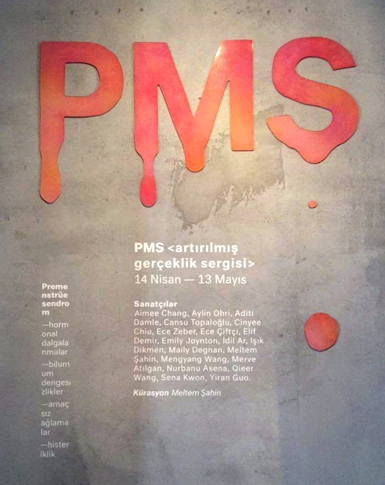  In 2017, I curated the first AR exhibition in Turkey called PMS, which consisted of 19 womxn artists. It was exhibited in İstanbul Bina in collaboration with Bant Mag.  