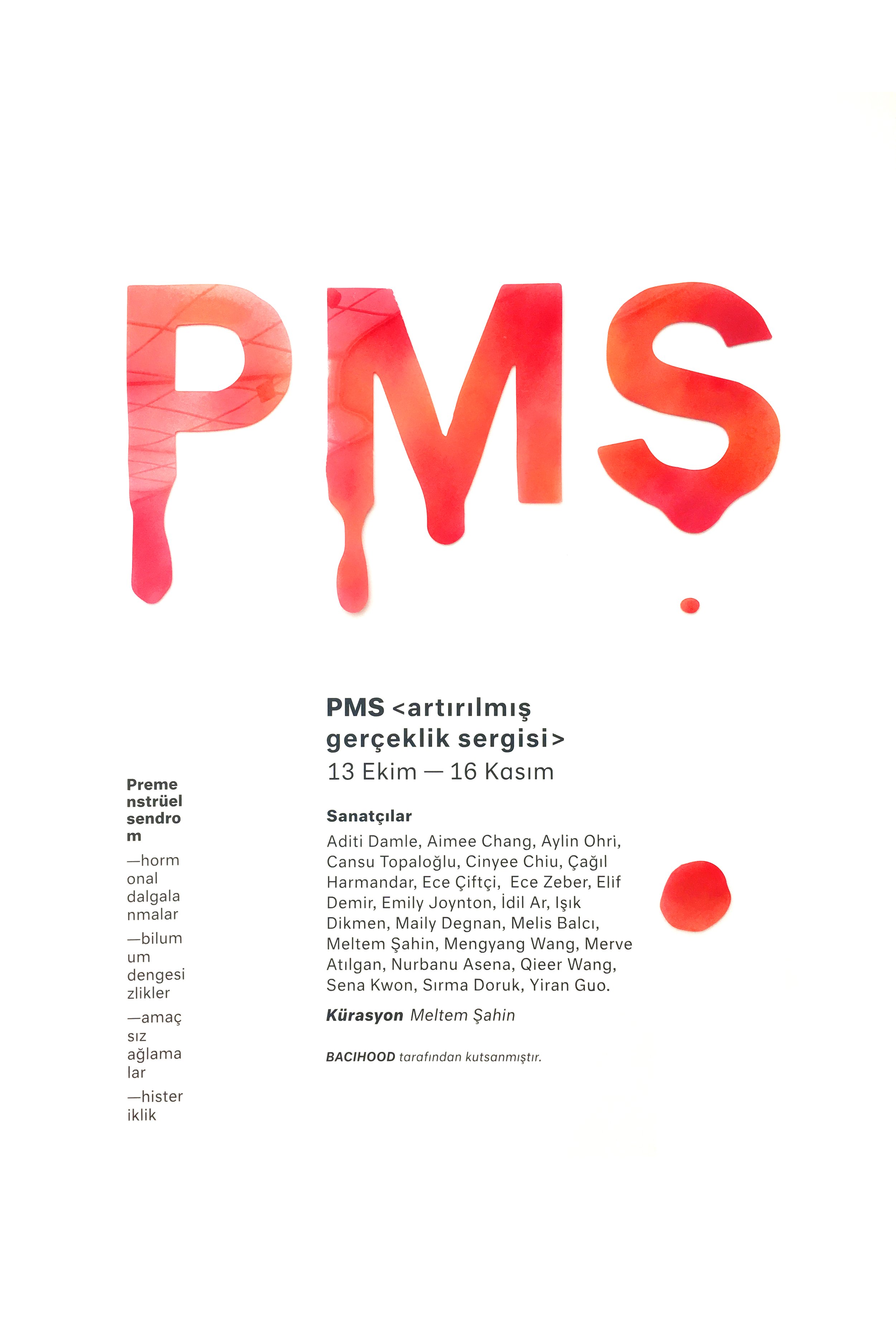   In 2018, within the scope of the Sound Ports festival organized by Gülbaba Music, the second version of PMS took place in Bomontiada A Corner in The World, with 22 womxn artists. 