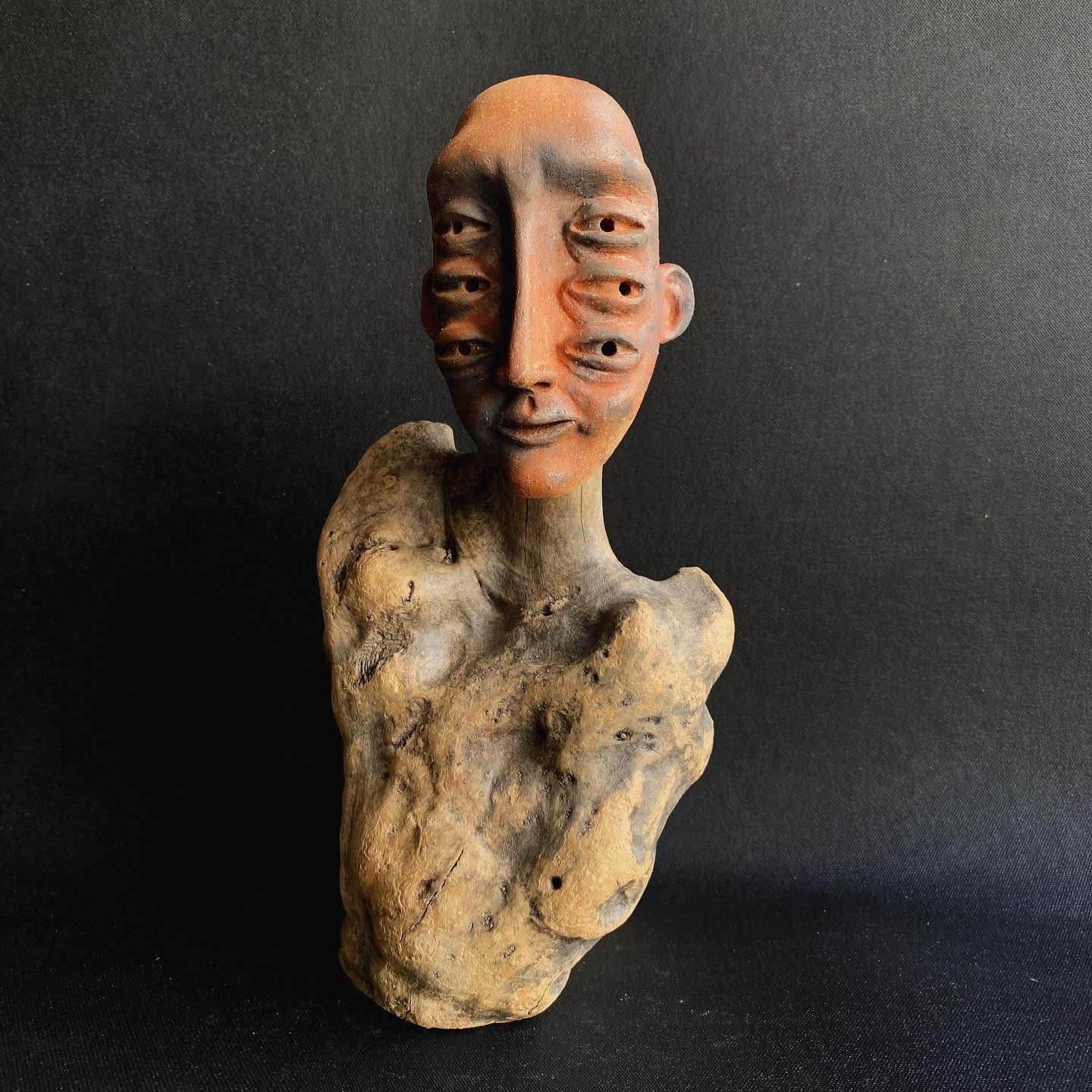 'Six-Eyed Creature' features six intelligent eyes, each a chronicle of the past, present and future as an observer and archivist. The journey of the piece began as the driftwood was collected and processed by Mustafa Sahin from the shores of his hom