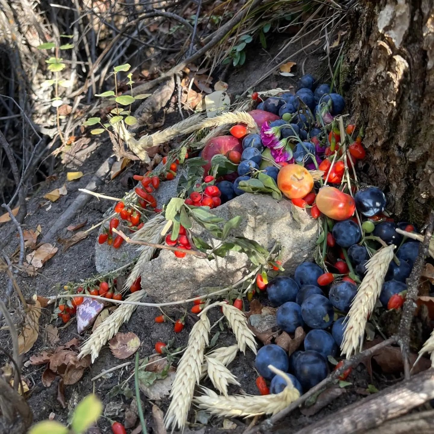 offering.jpg