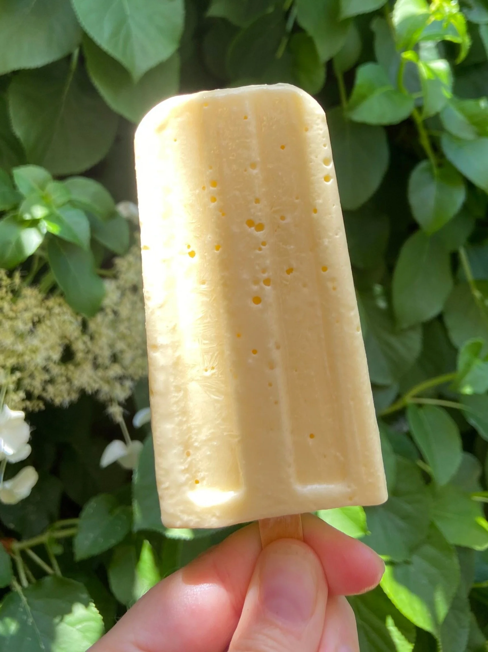Mango Creamsicles