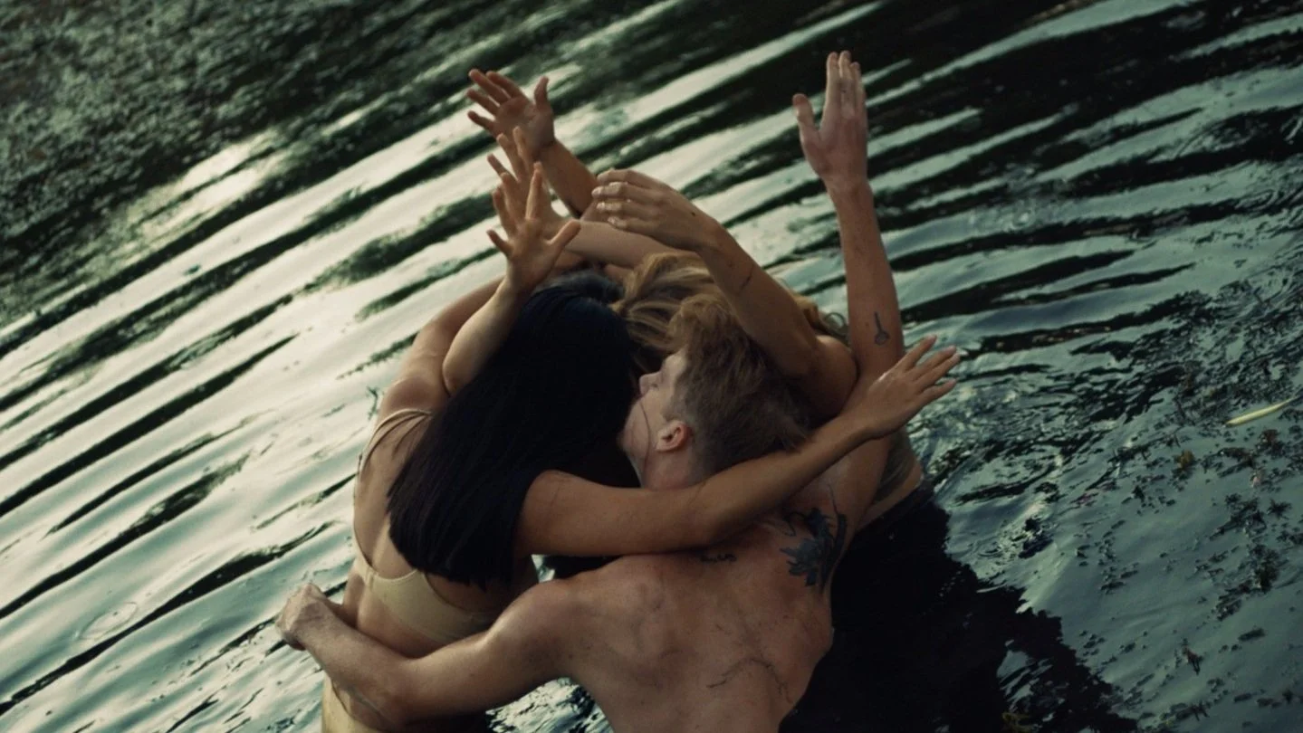 Childhood - The Rose