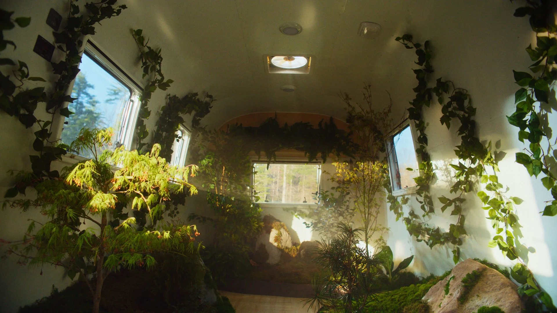 V1-0021_A_0008C017_260326_172200_a1CE9.mov_1.20.1.jpg