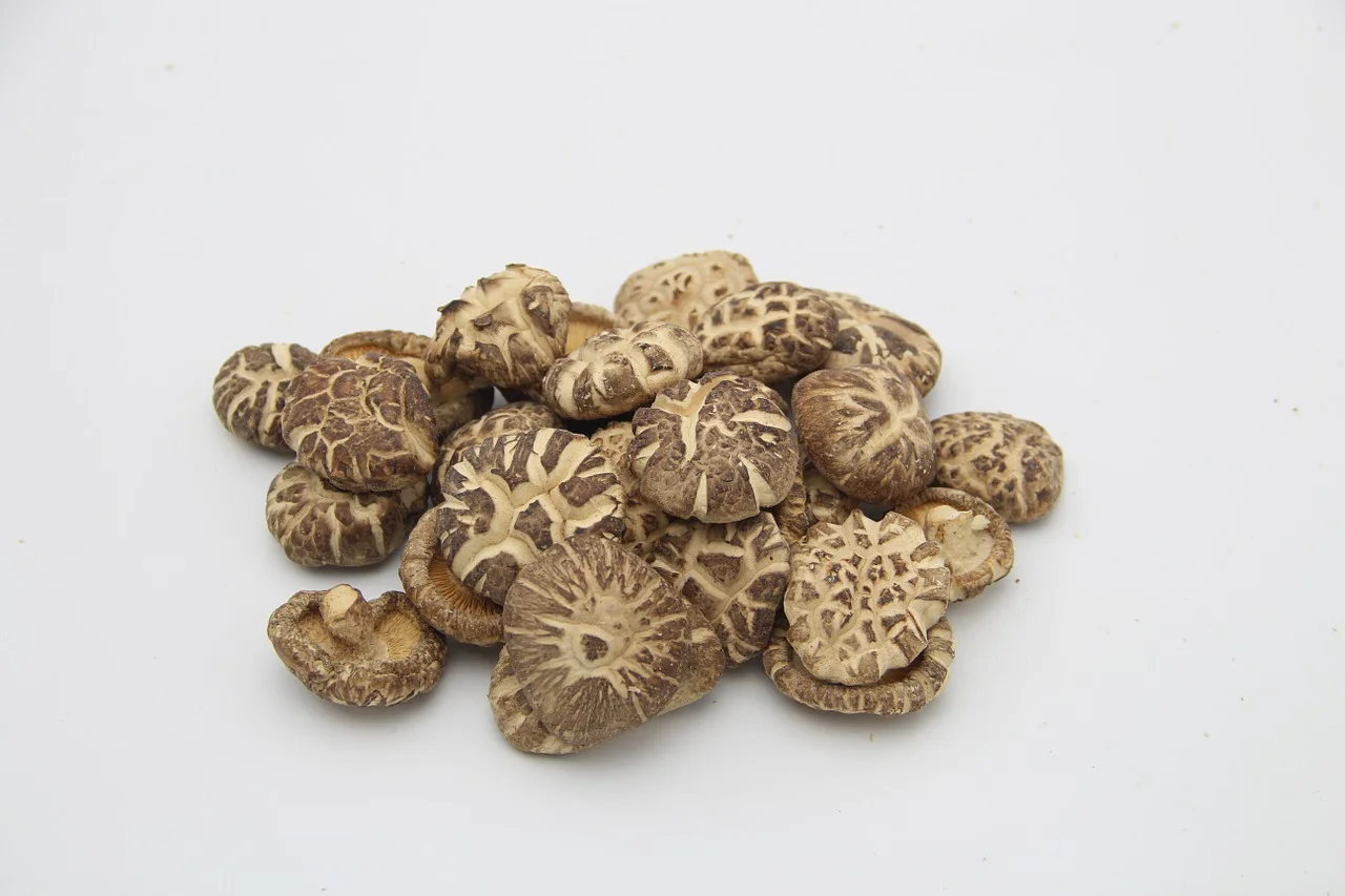 Setas shiitake
