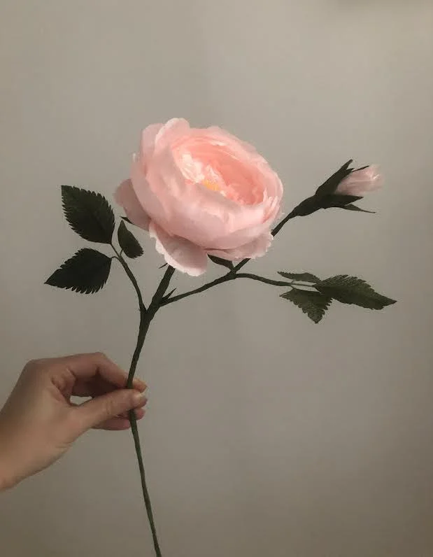 David Austin Juliet Rose