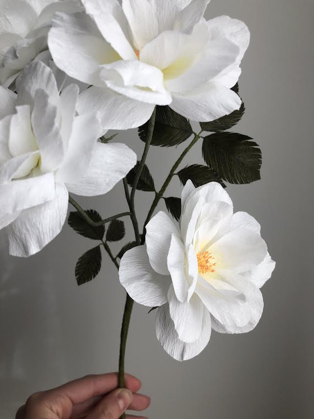 Floribunda Rose Branch - White - Fine Art of Paper Flowers - Tiffanie Turner
