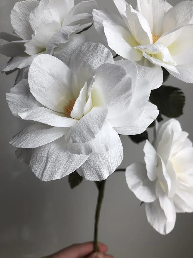 Floribunda Rose Branch - White - Fine Art of Paper Flowers - Tiffanie Turner