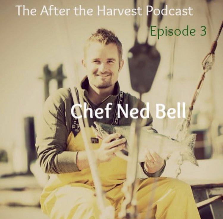 Ned-Bell-Podcast.jpg