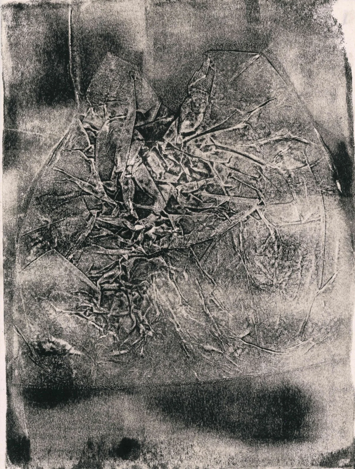 no mystery paper towel