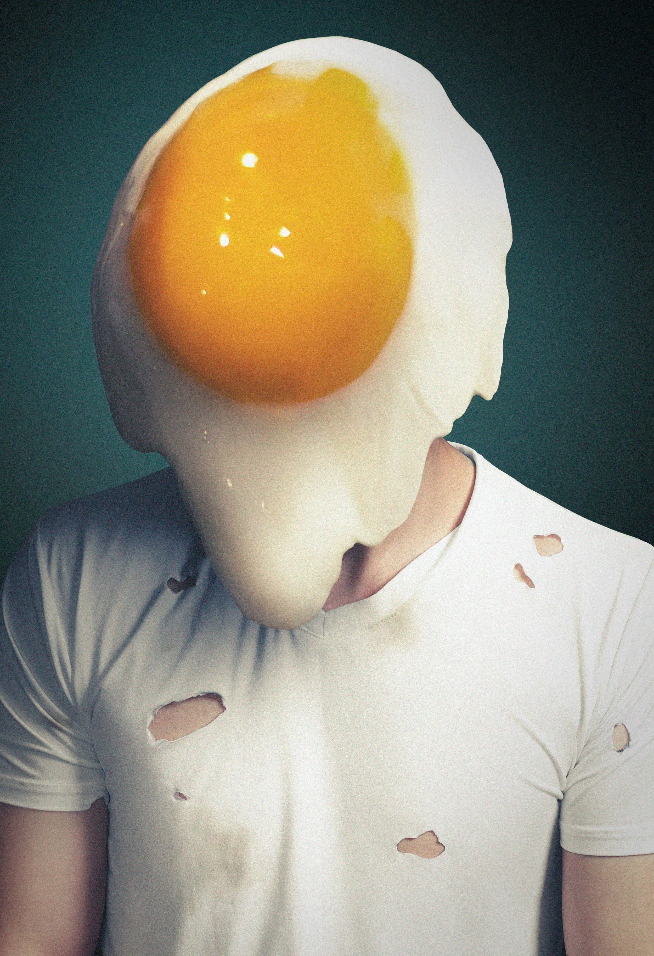 egghead_web.jpg