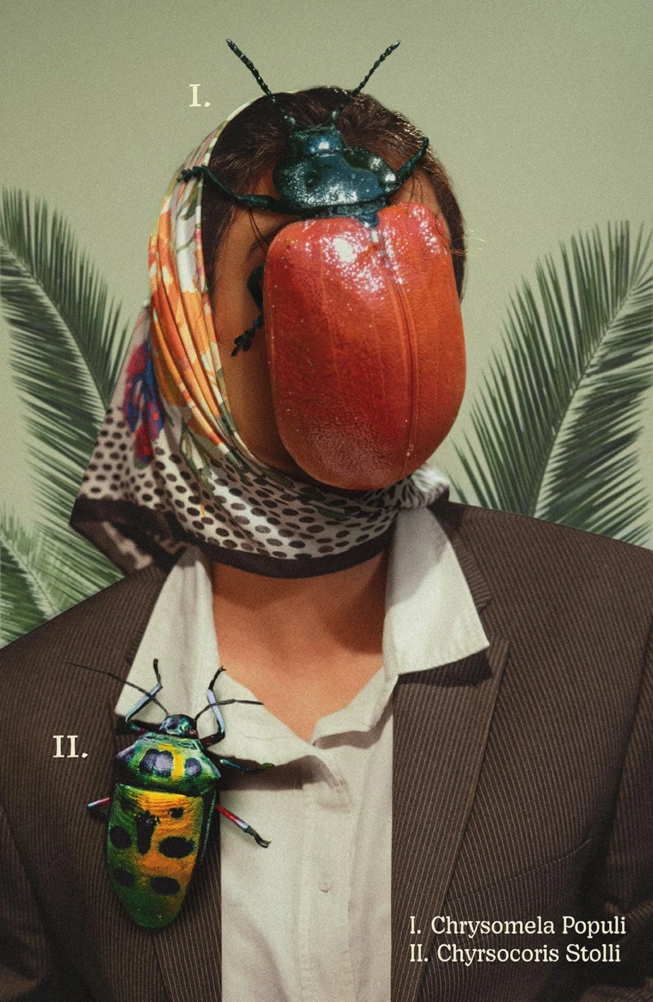 beetle.jpg