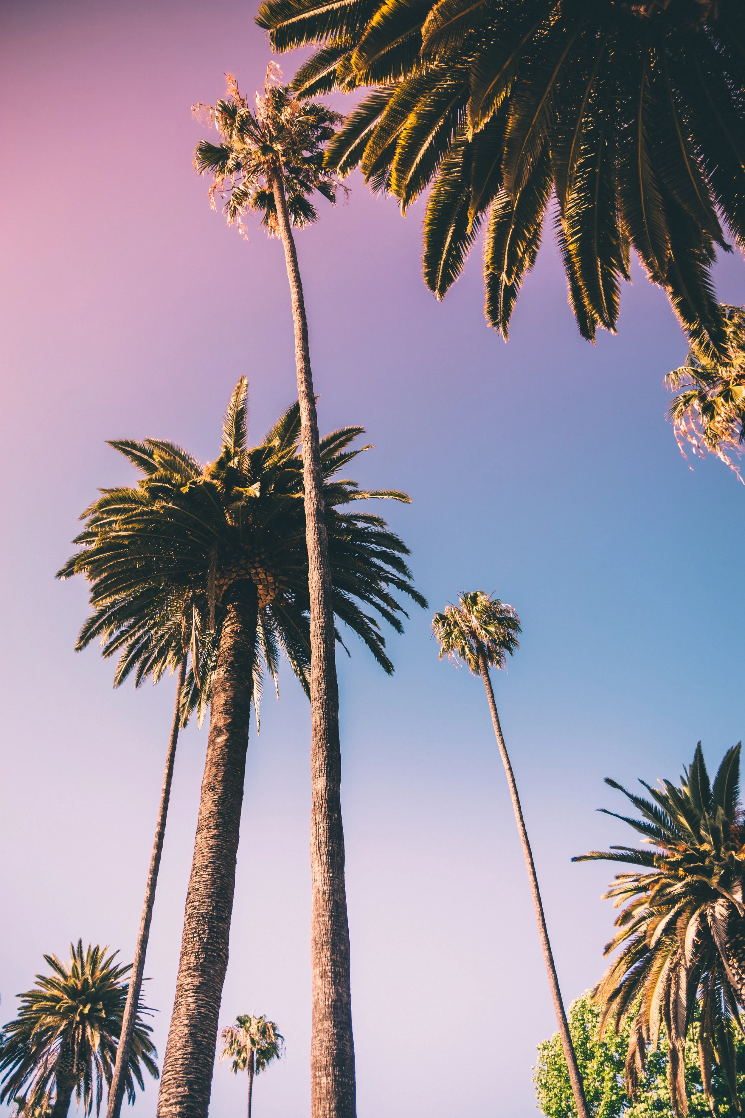 travel marketing and branding