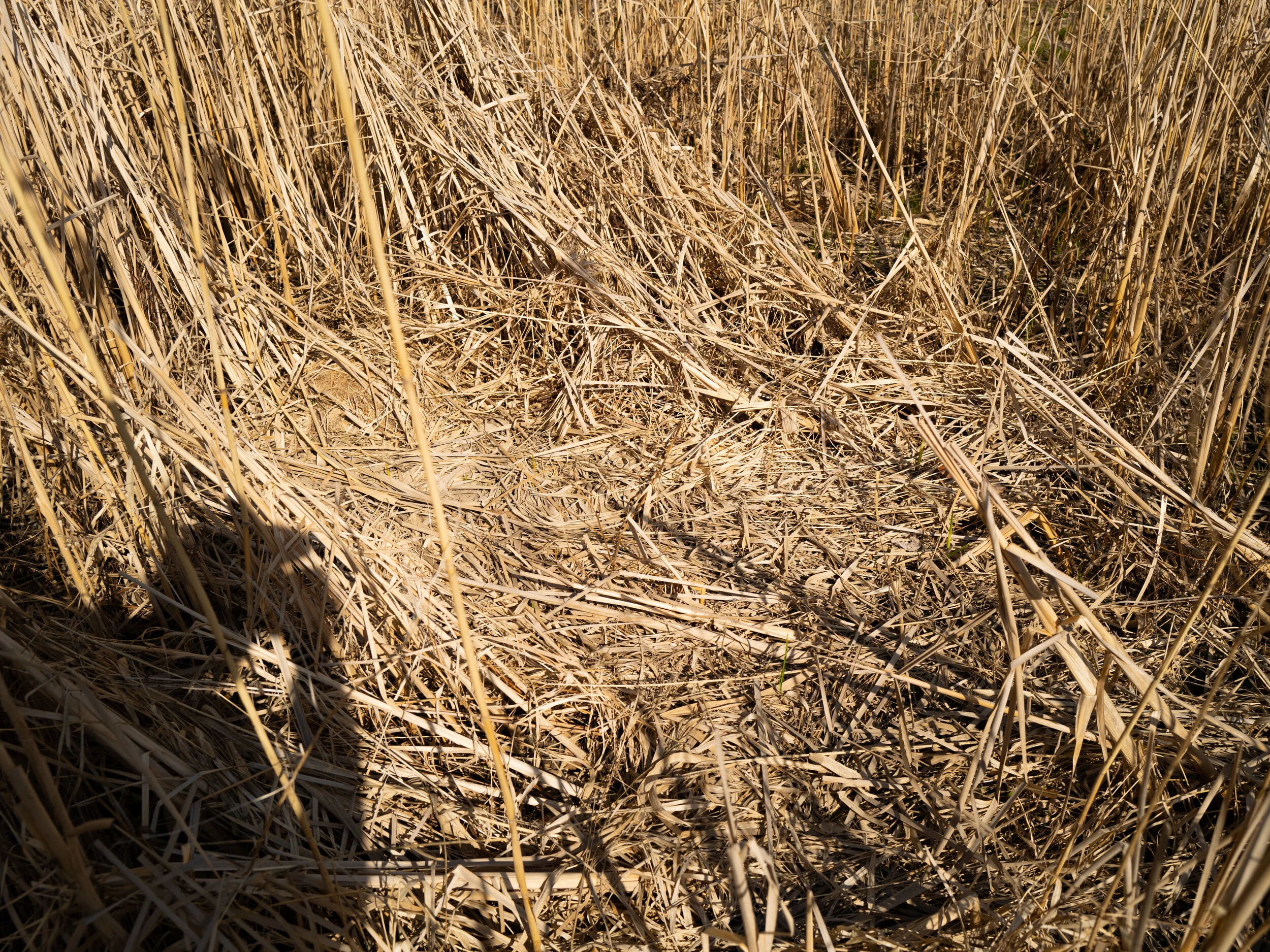 Whatever it is, the way you tell your story online can make all the difference.