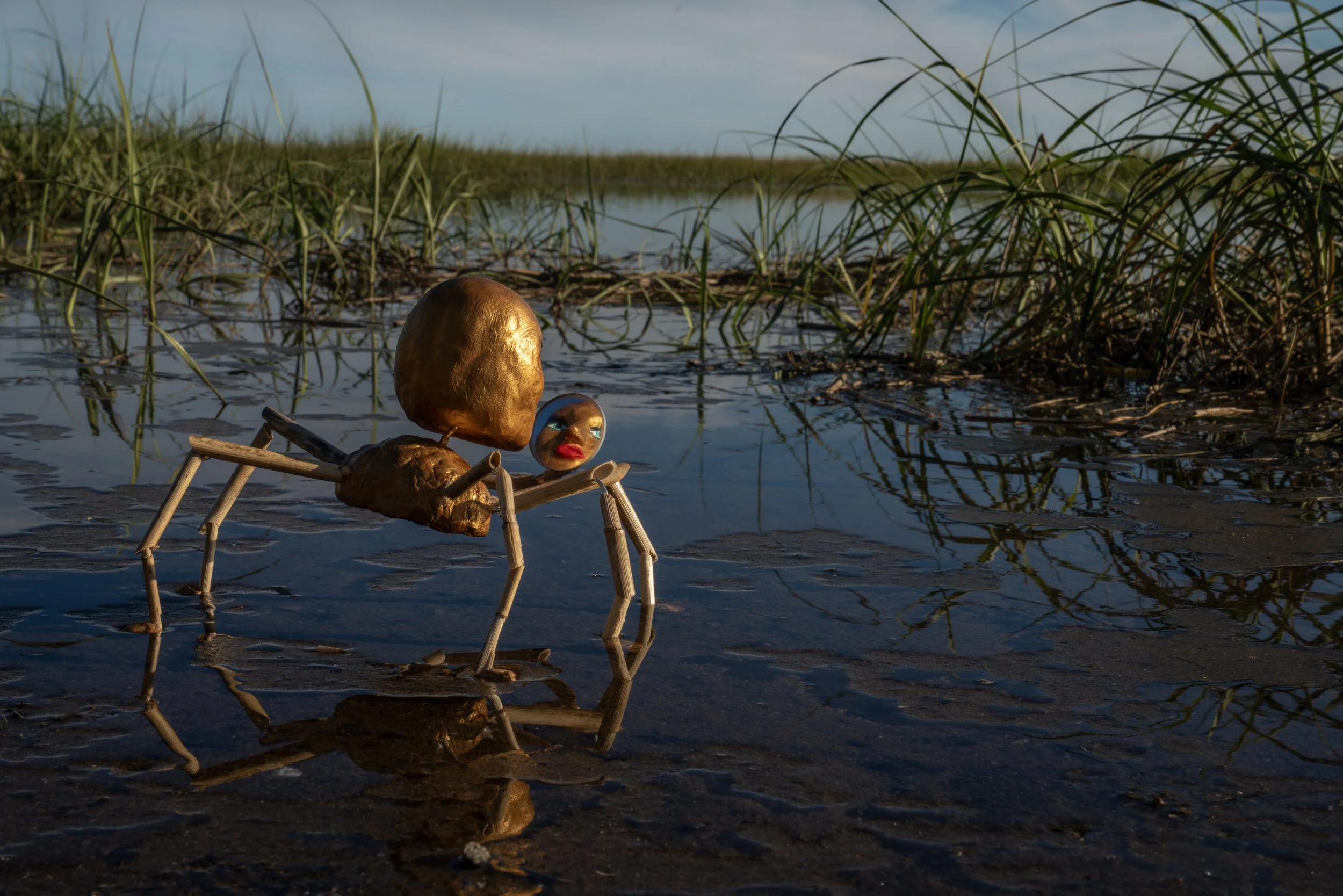 Stern_MARSH_br-w_001_08_0211.jpg