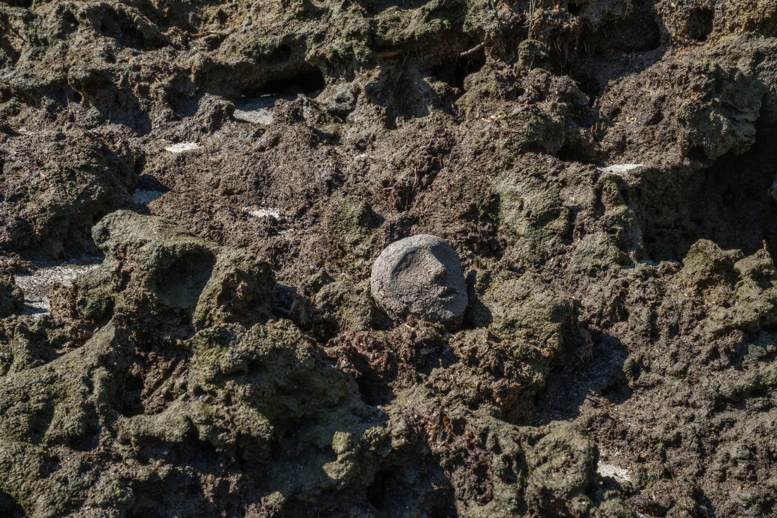 Stern_MARSH_br-w_001_15_0009.jpg