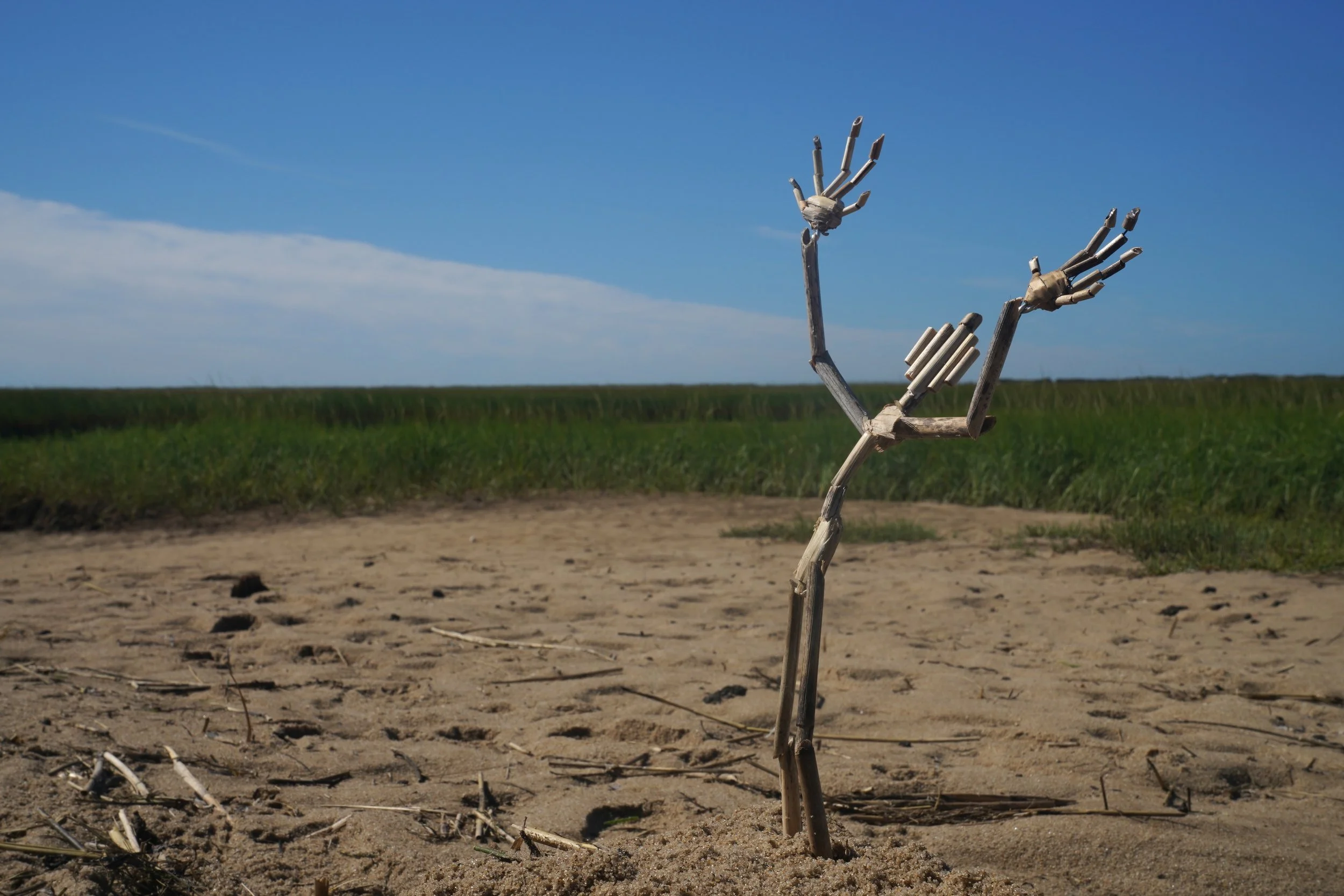 Stern_MARSH_br-w_001_02_0048.jpg