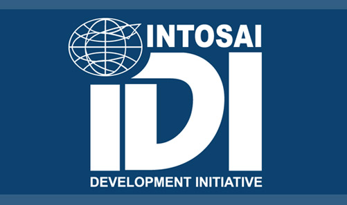 Approved Logo_IDI Blue background.jpg