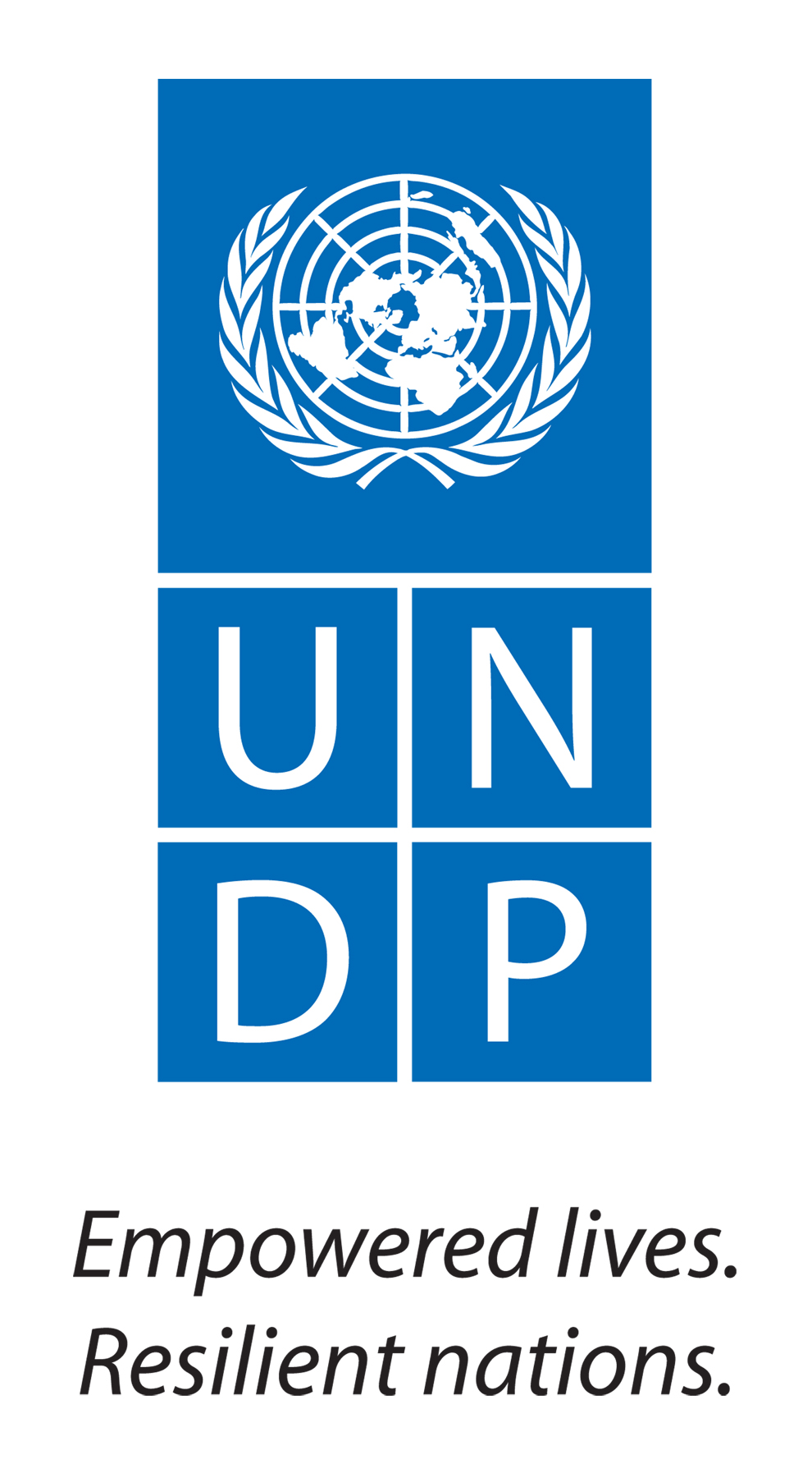 UNDP_Logo_Medium.jpg