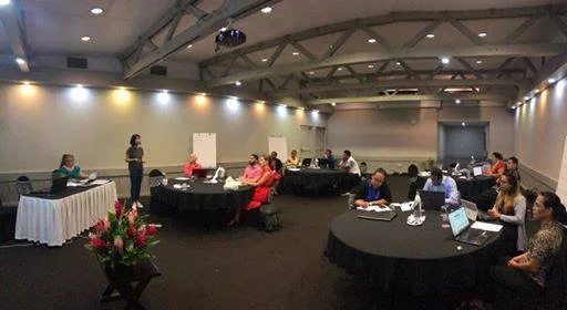 SAI PMF Planning Irina speaking to whole room.jpg