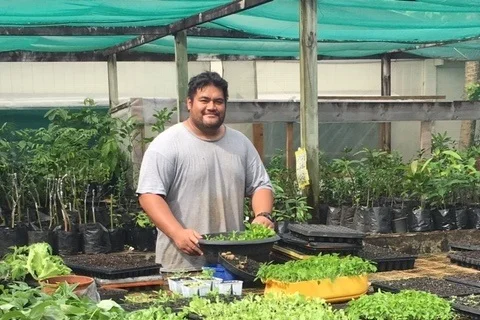 From crop technician to Integrity Ambassador: INTOSaint Assessment at Cook Islands Ministry of Agriculture