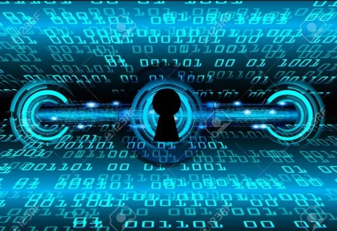 Cybersecurity: Building Digital Resilience in a Virtual World