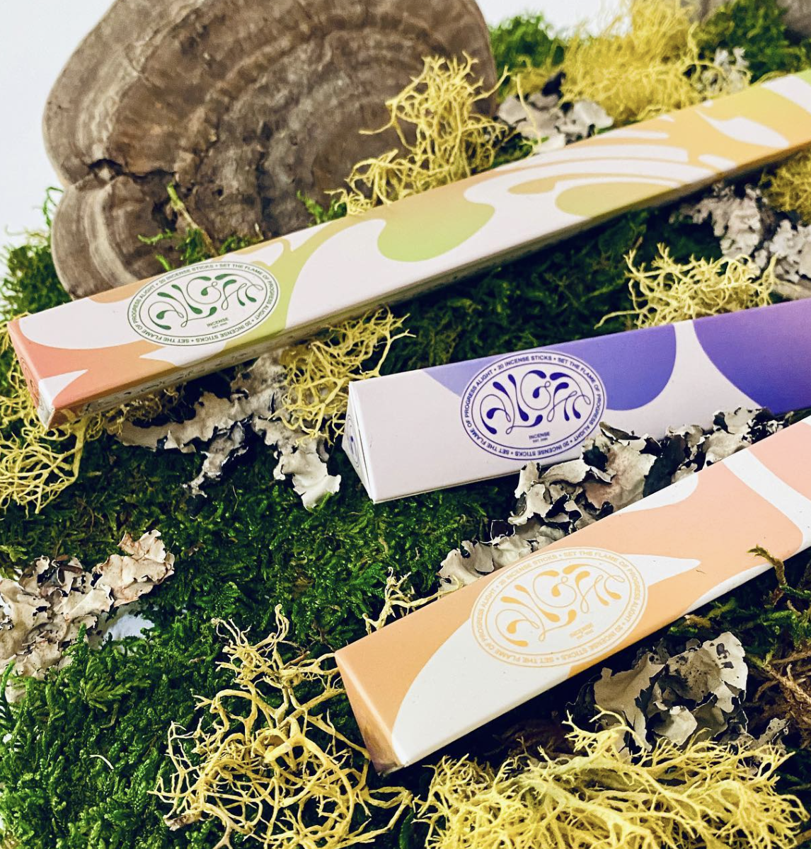 Screenshot 2024-11-24 at 1.15.34 PM.png