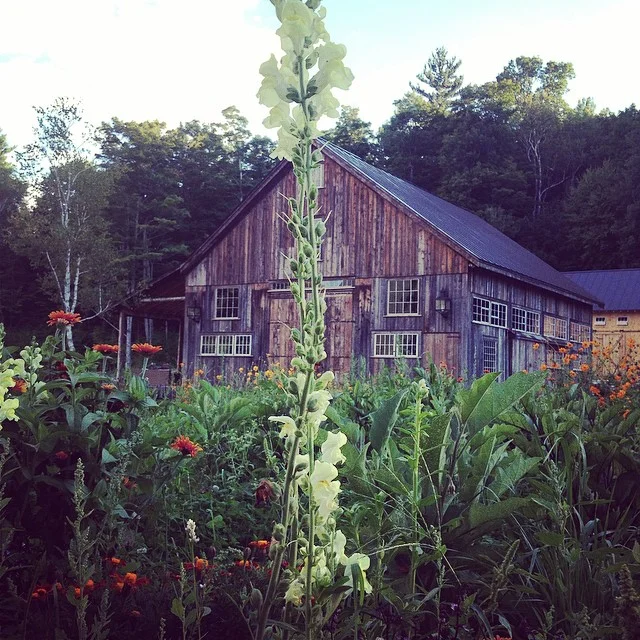 2014-09-04_1409856034.jpg