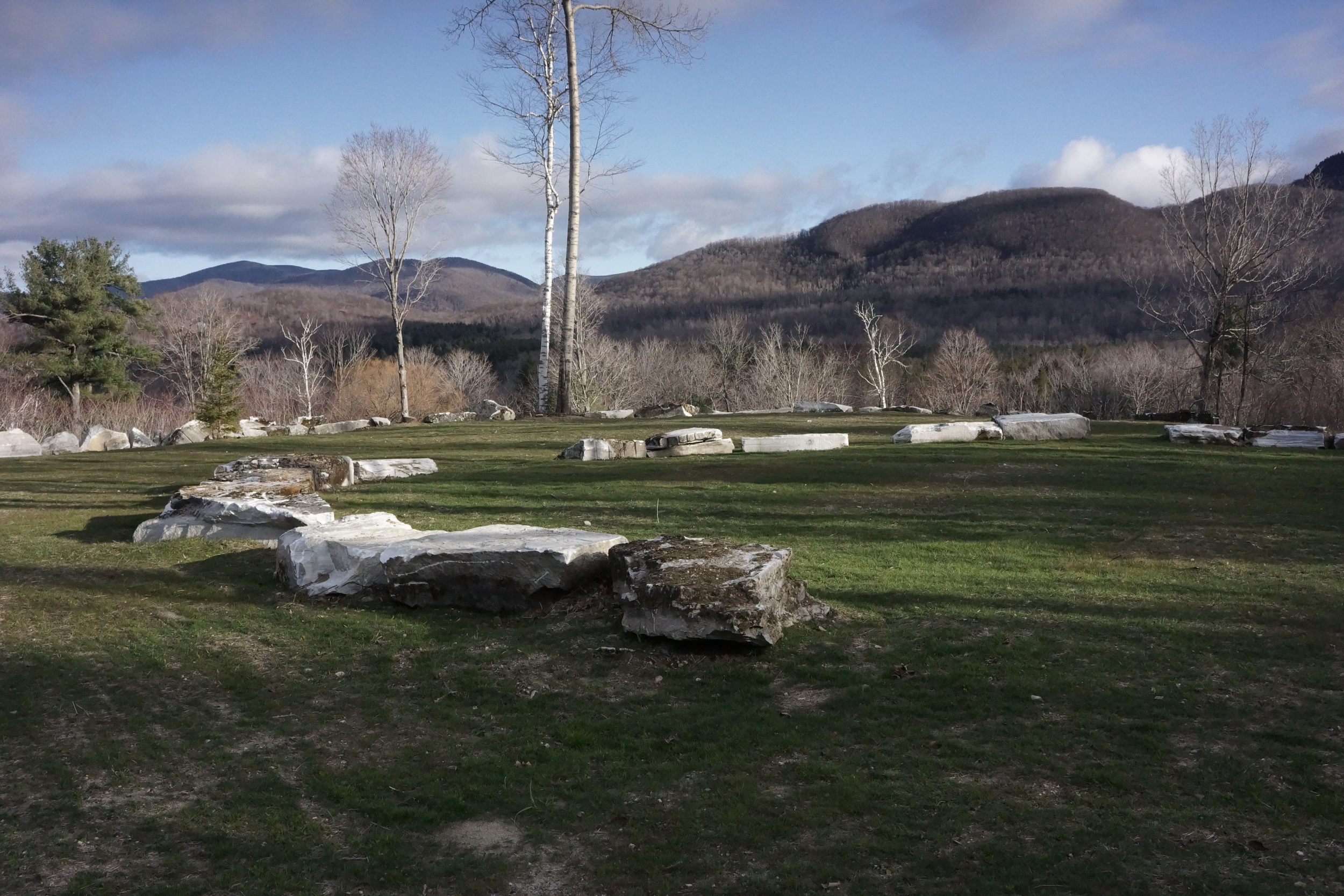 Field with rocks.JPG