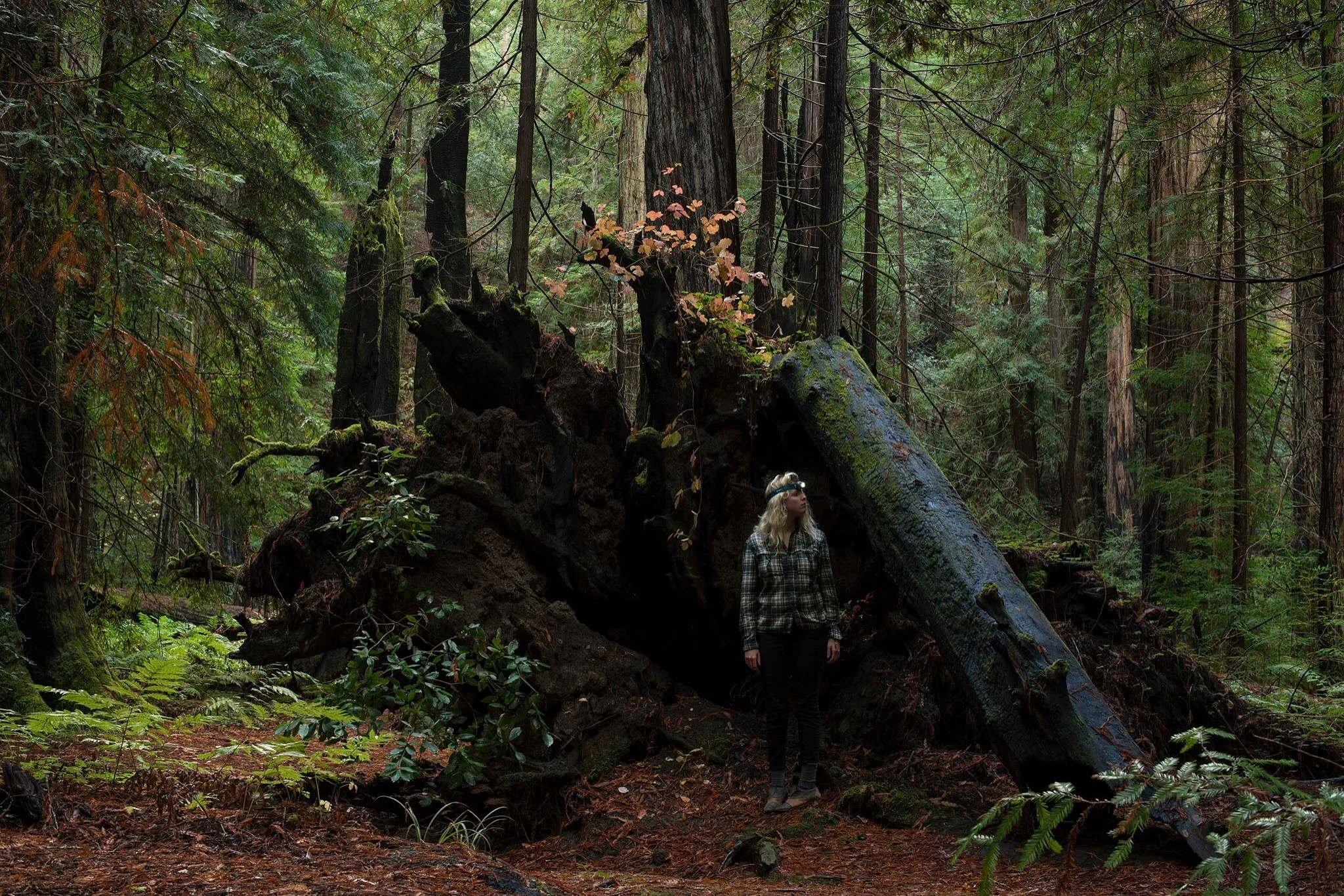 OPEN STUDIO WITH CHARLIE WATTS 