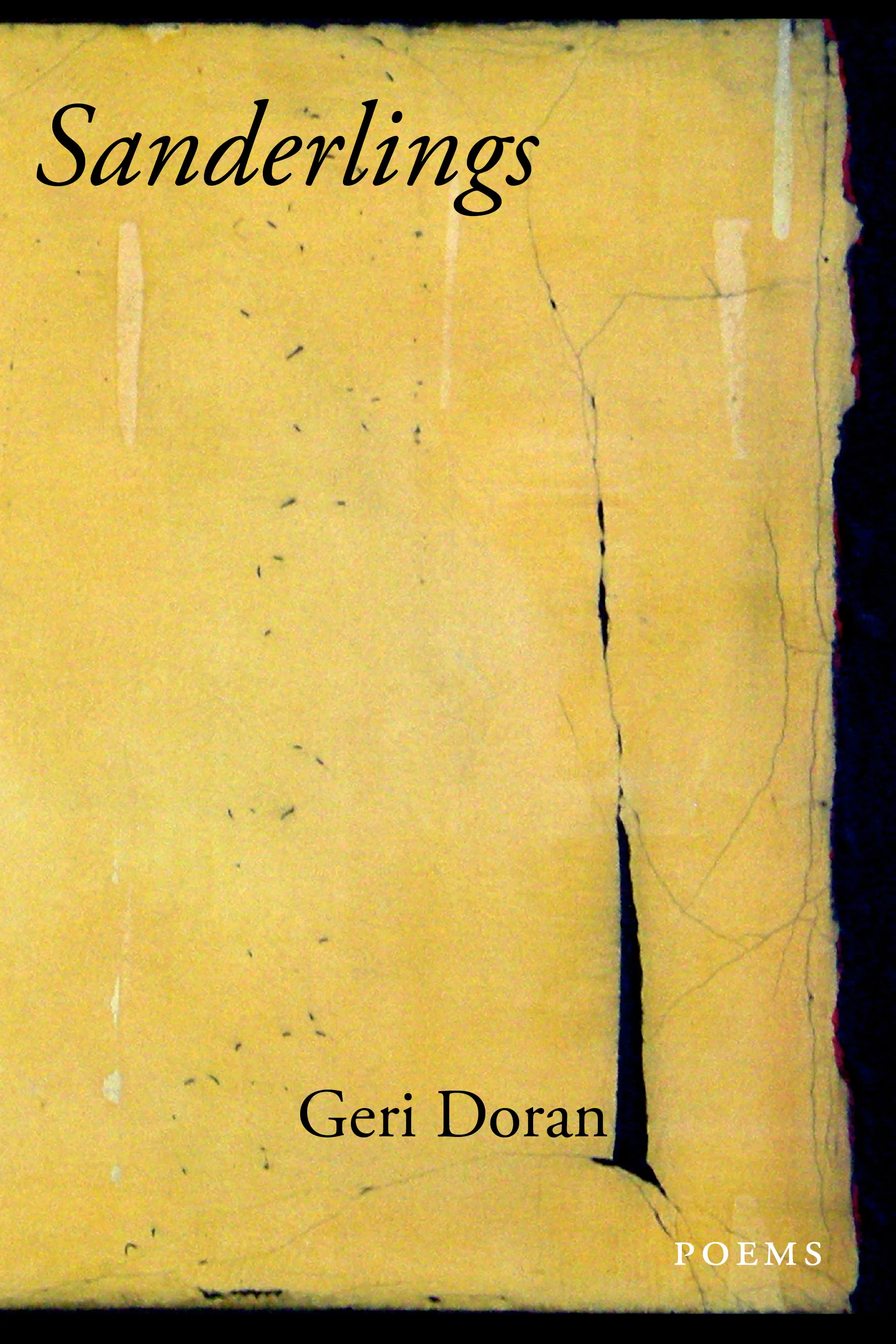 My second collection of poems, Sanderlings (Tupelo Press, 2011).