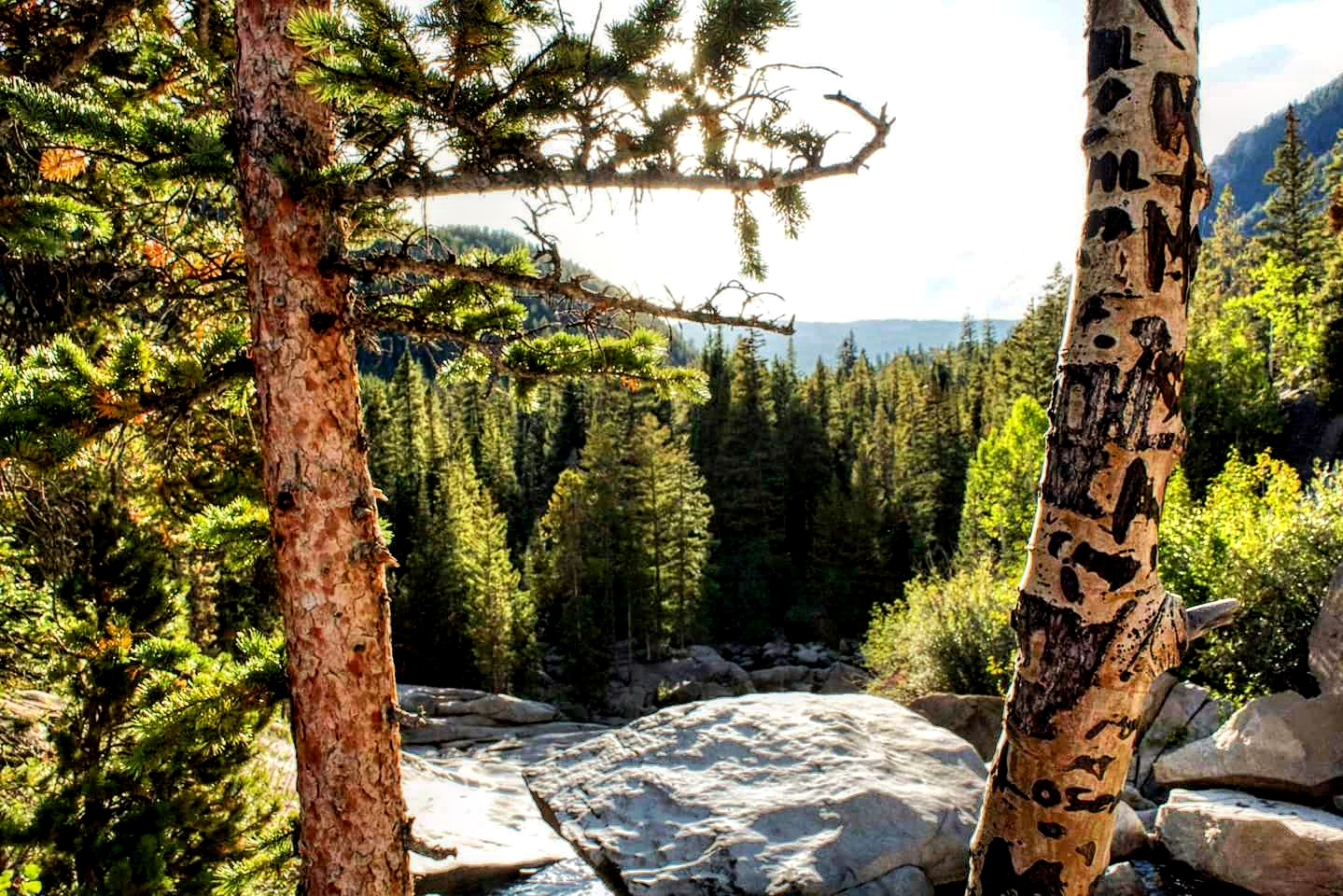 IMG_20160321_212945.jpg