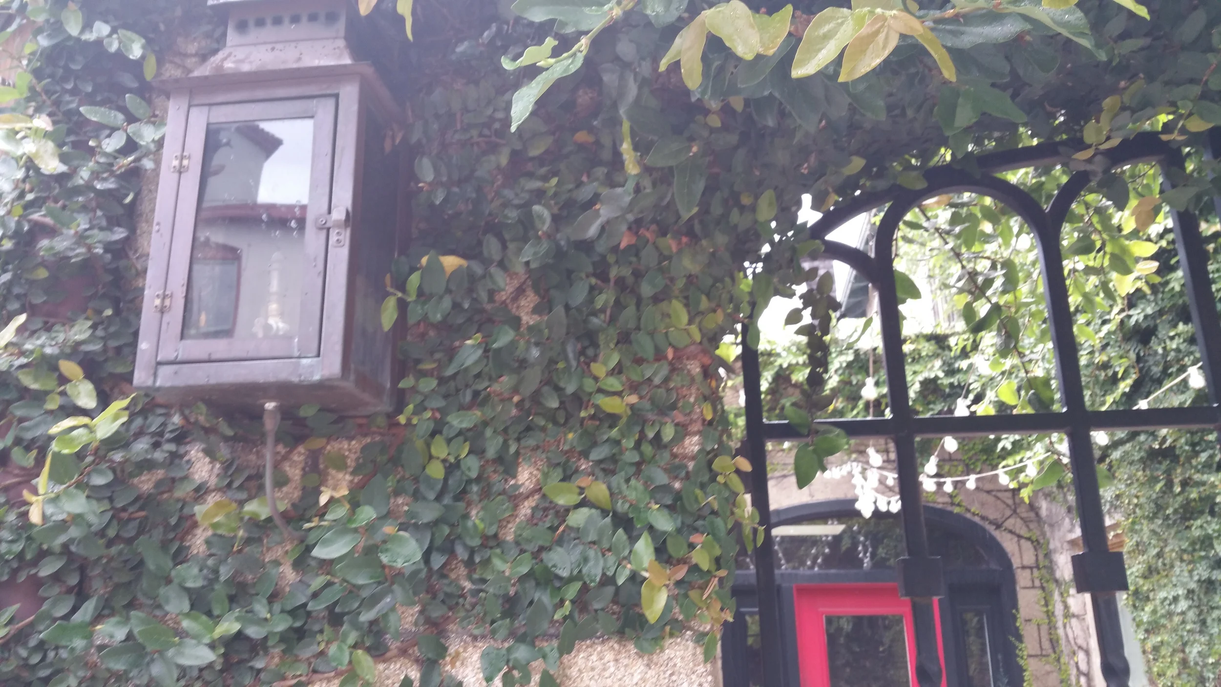 20150628_150343.jpg
