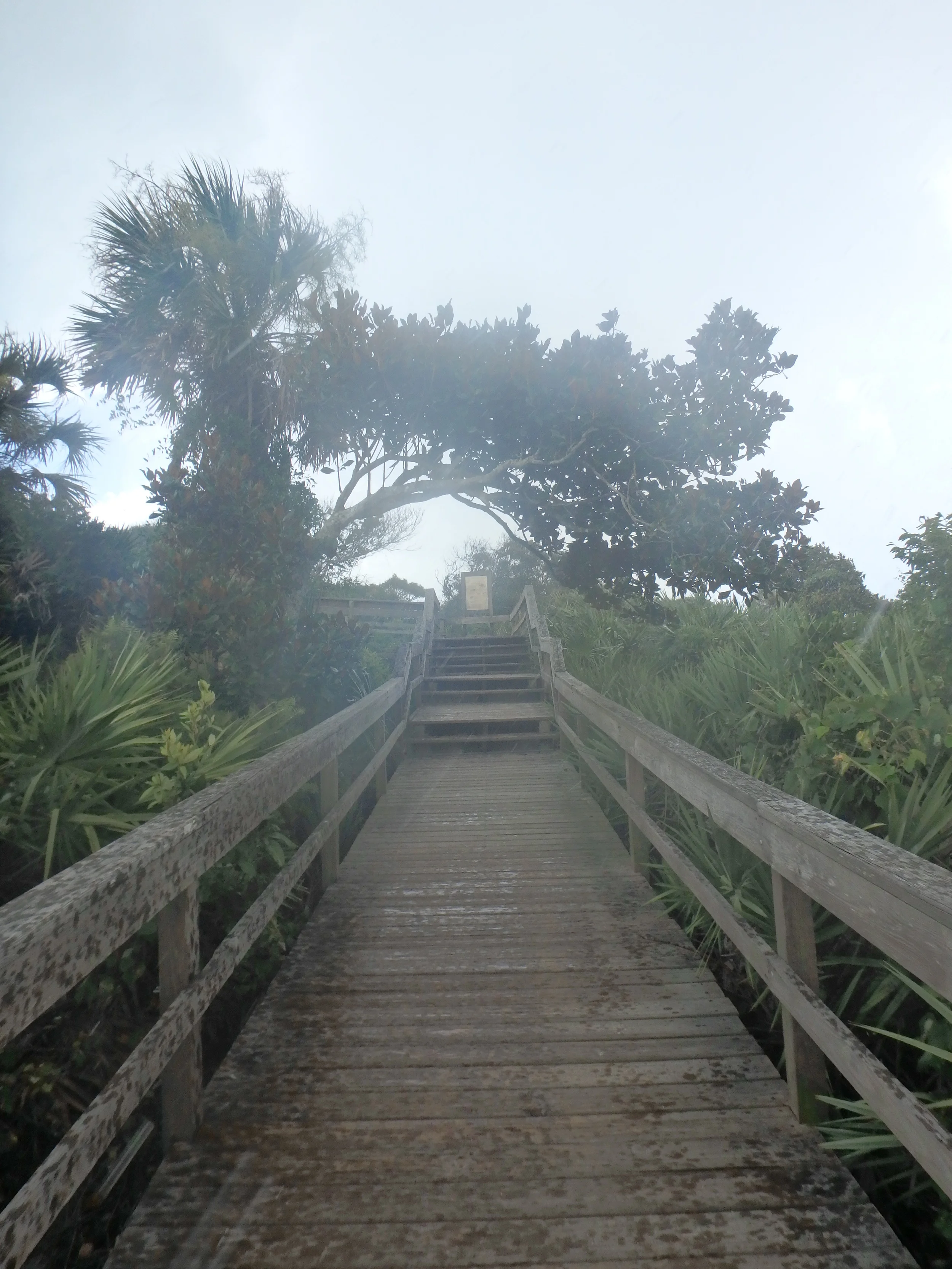 Florida - JAX-ST.Aug 024.JPG