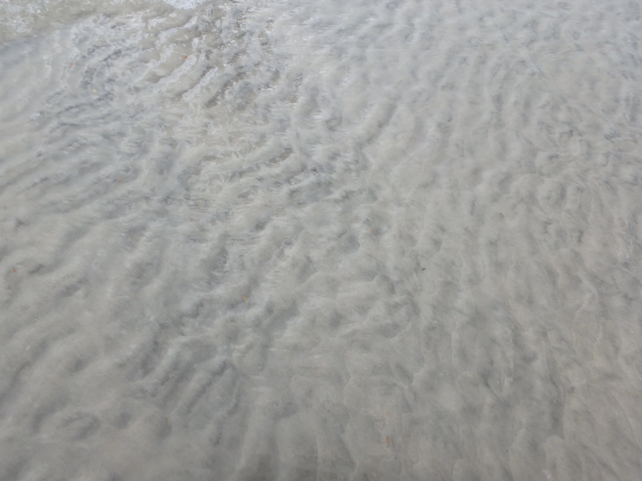 Florida - JAX-ST.Aug 214.JPG