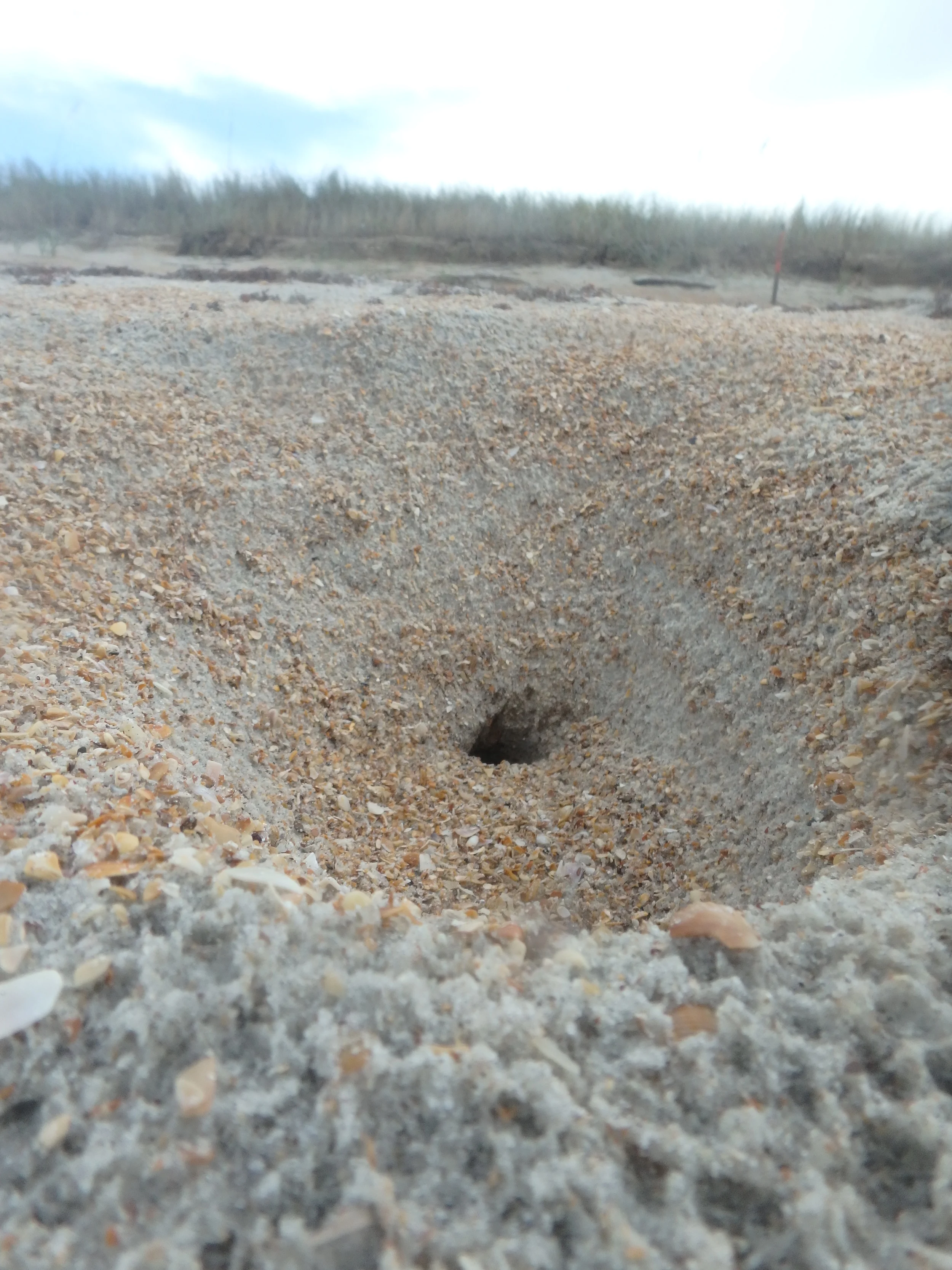 Florida - JAX-ST.Aug 243.JPG