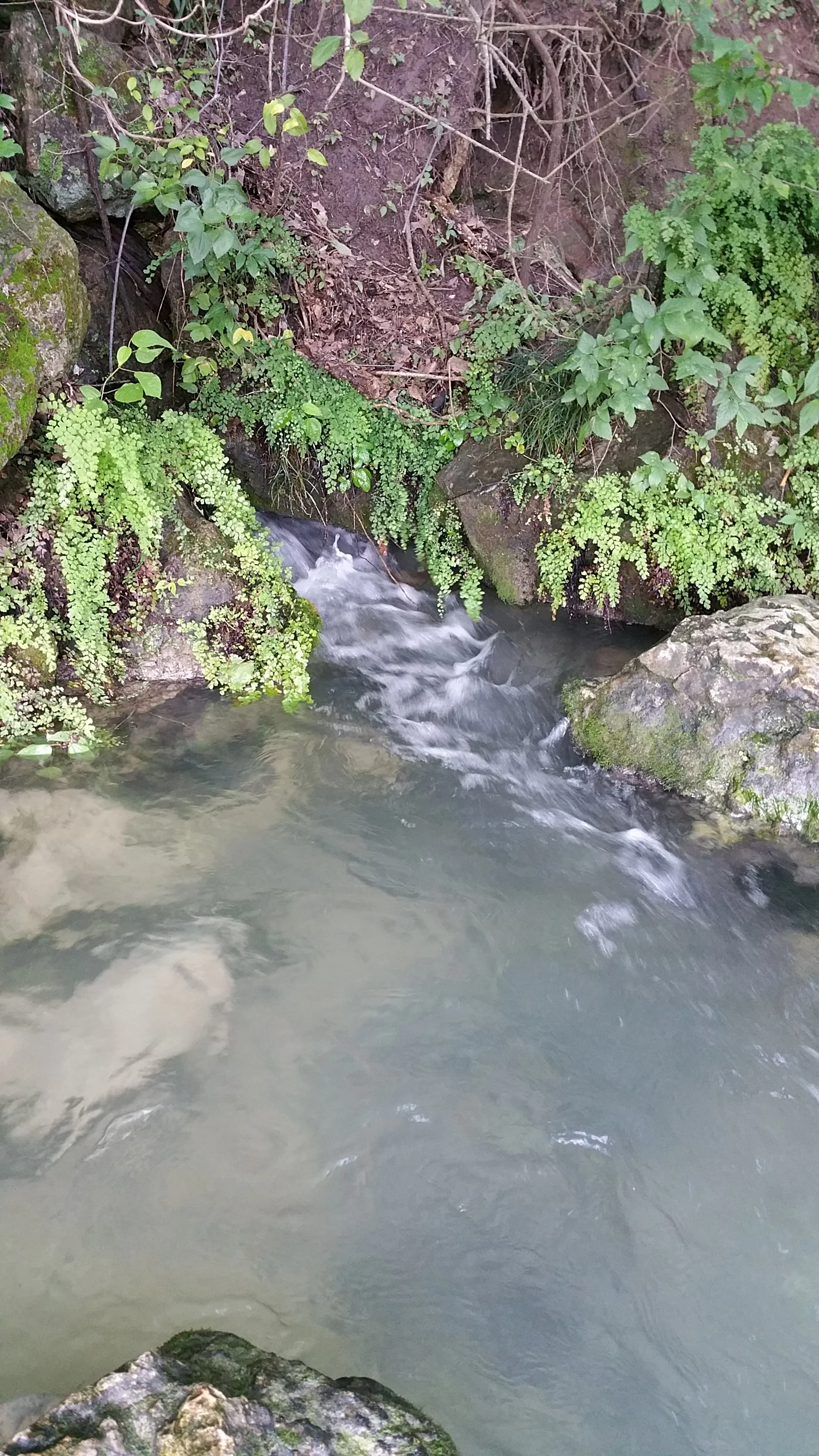 20150516_175223.jpg