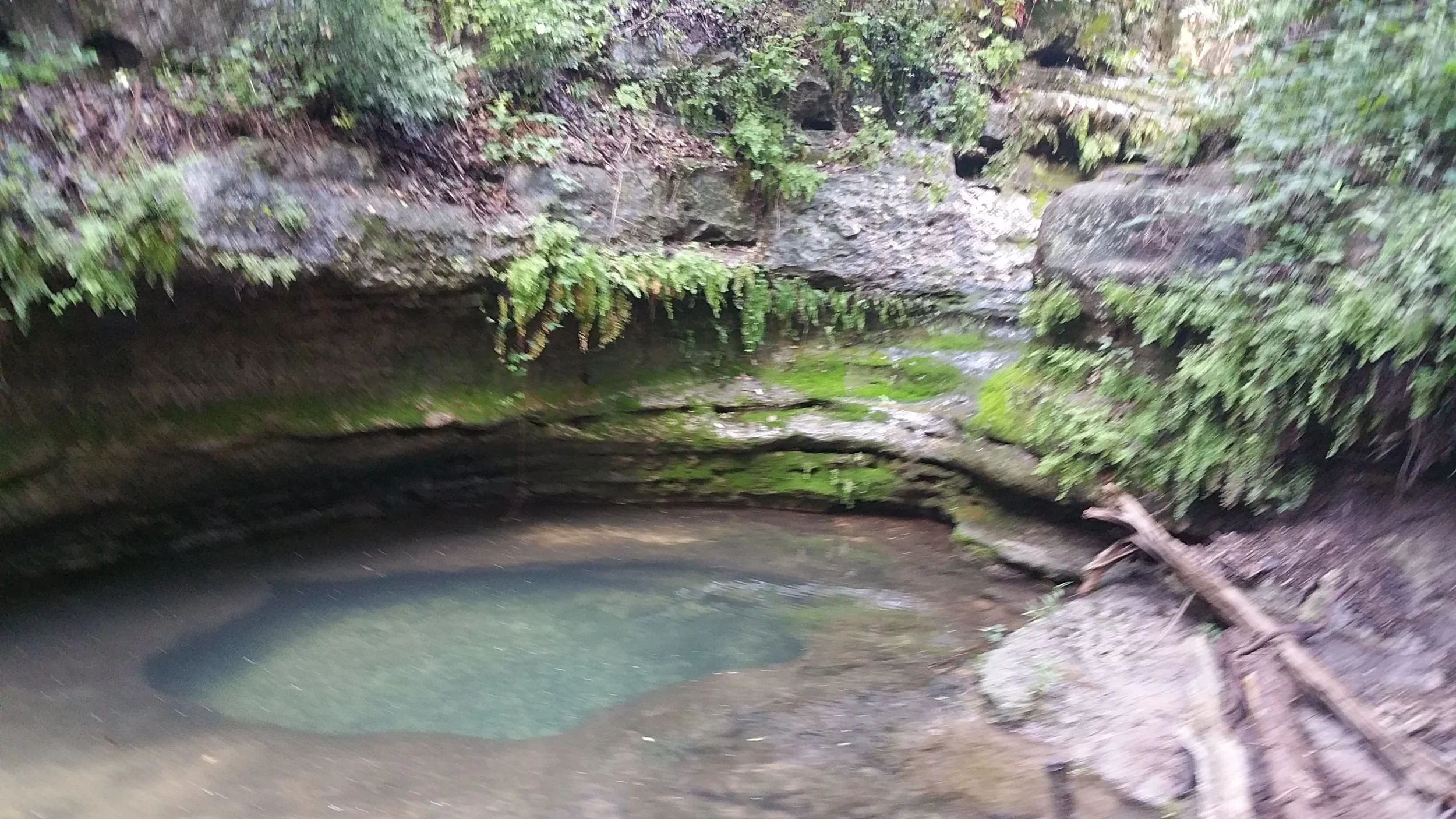 20150516_180856.jpg
