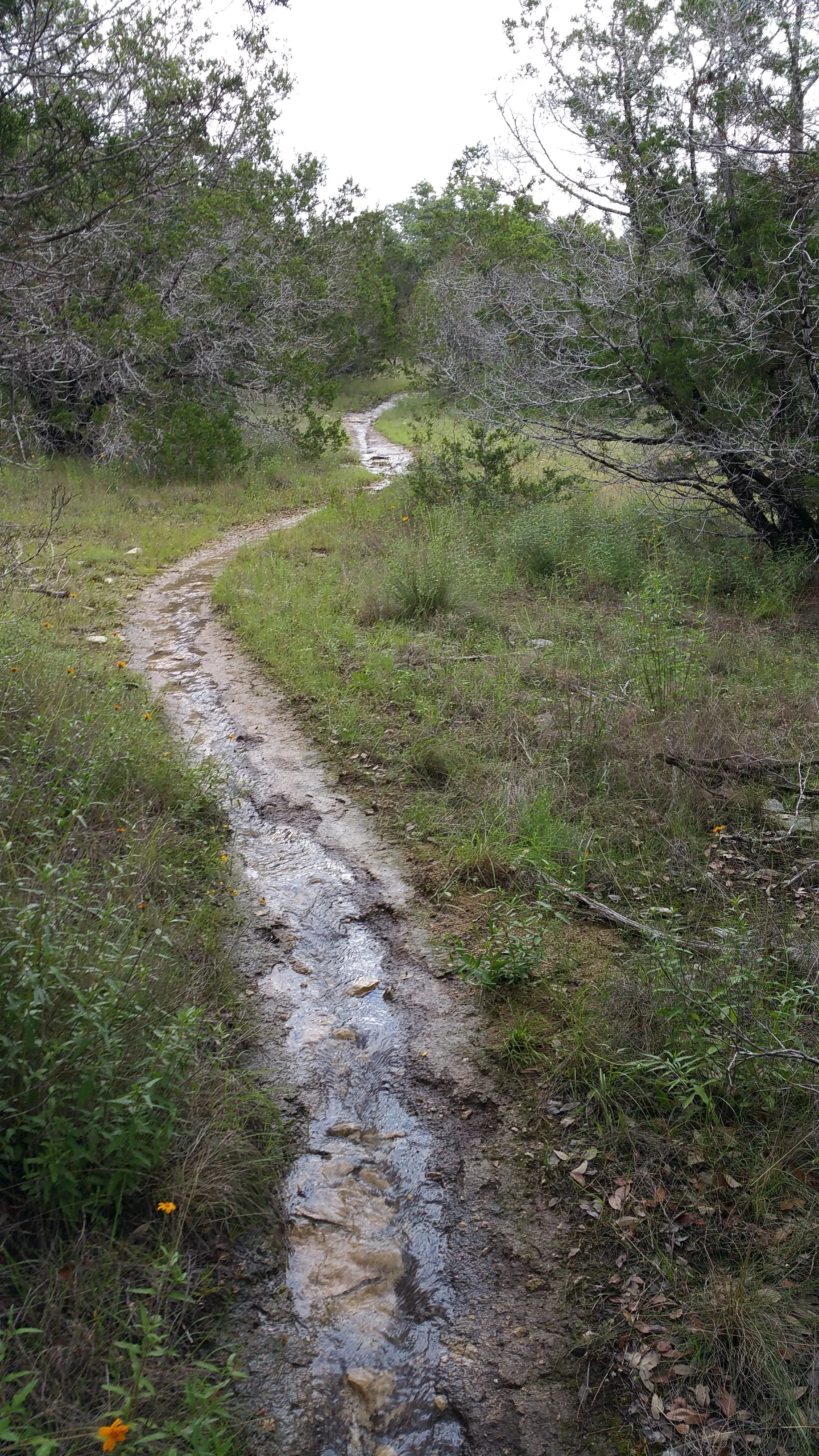 20150524_155240.jpg