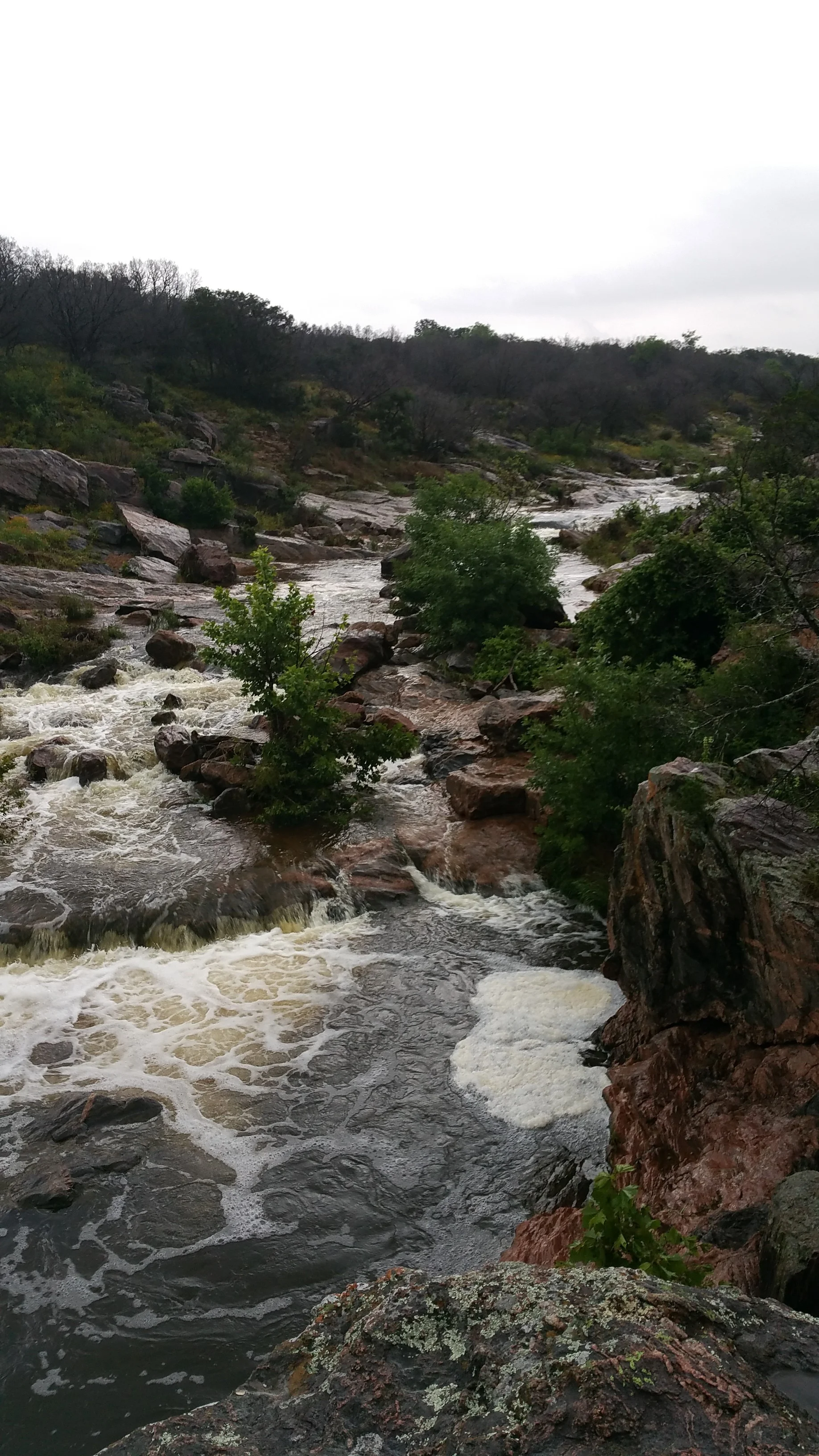 20150525_123206.jpg