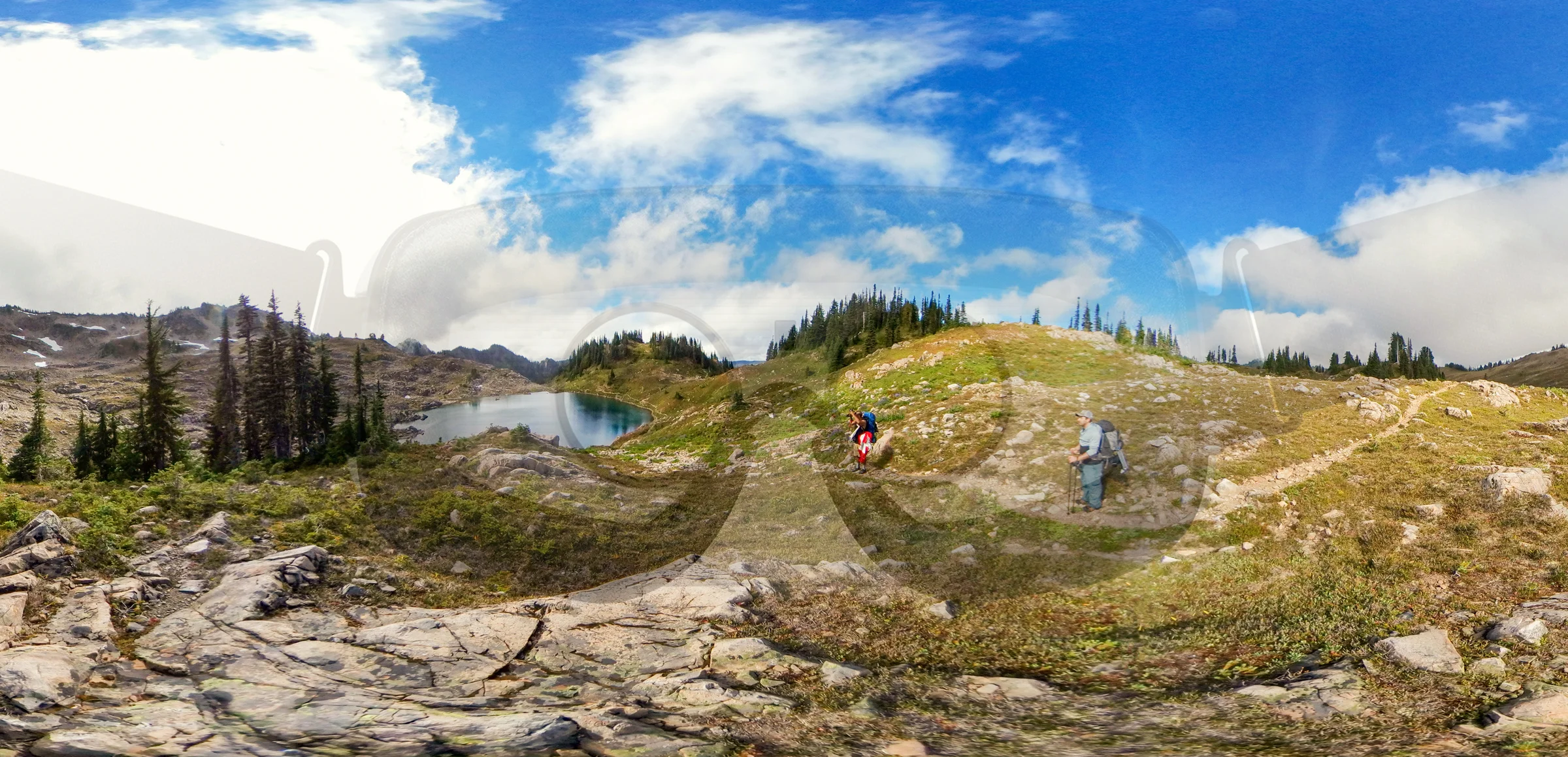 Wasim+Muklashy+Photography_-Superswell-VR-Homepage-Olympic-National-Park_Portland-Virtual-Reality-Company.jpg