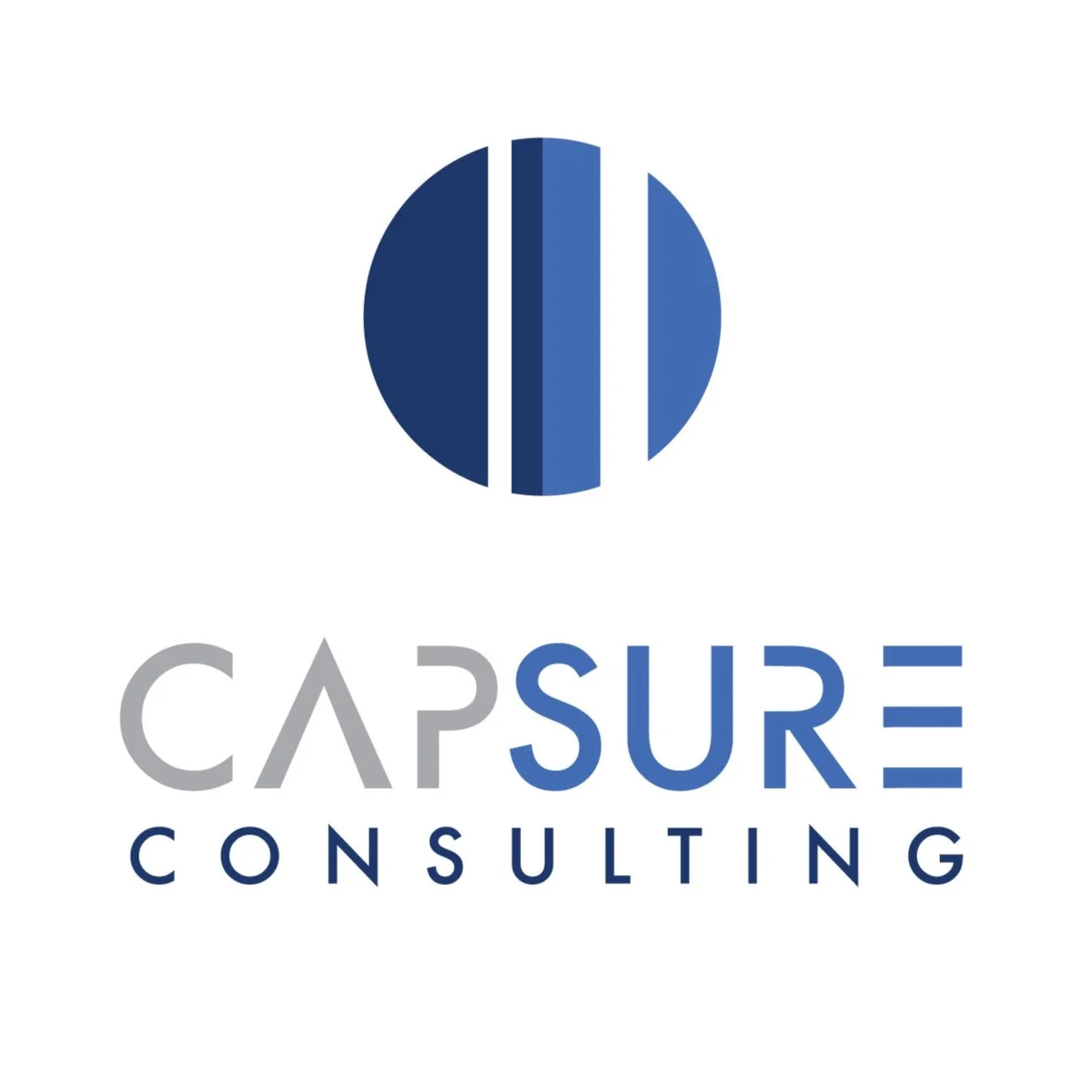 PRIVATE COMMISSION | 2020