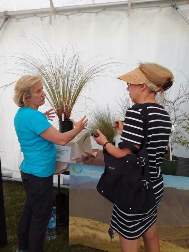 Kath tussock CO Wanaka 2017.jpg